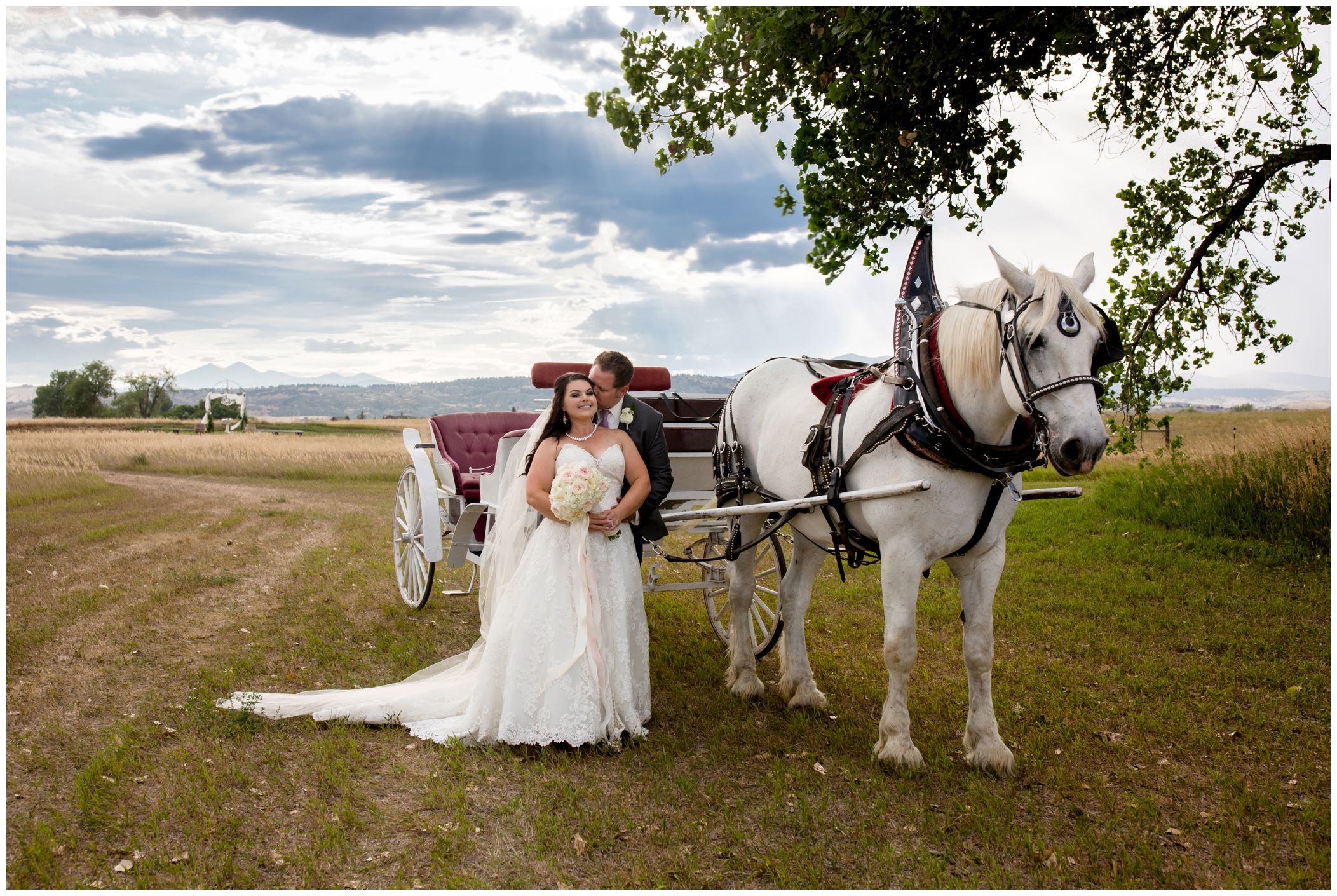 bride and groom with horse drawn carriage at Stonewall Farm Colorado wedding