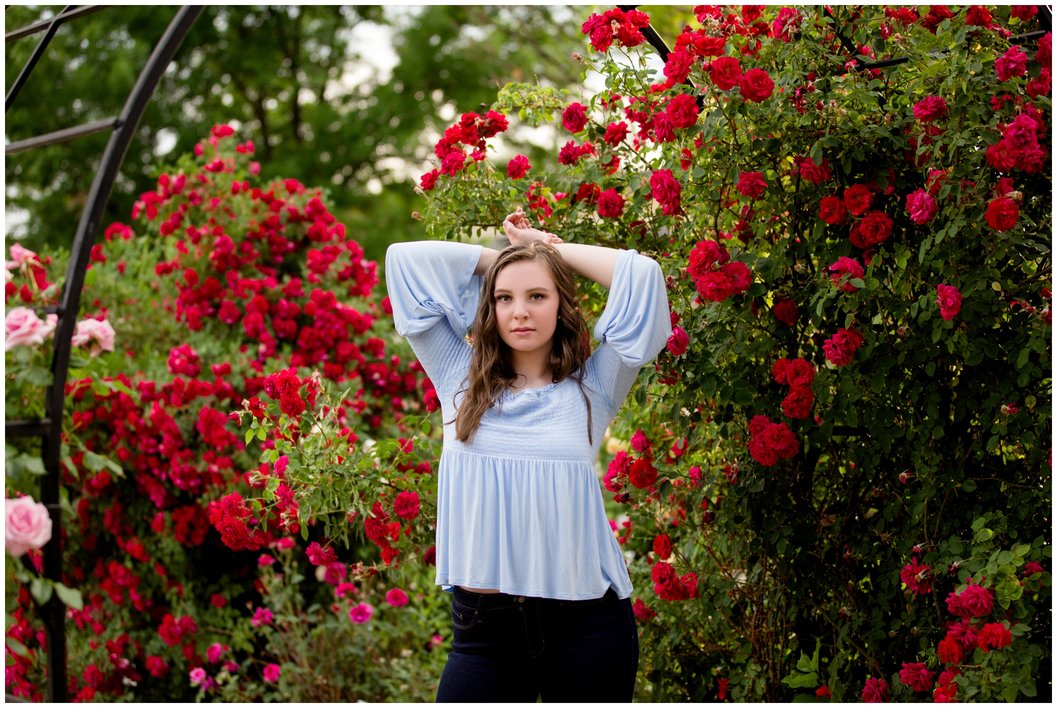 teen girl posing in red rose garden for Silver Creek High School Longmont Colorado senior pictures 