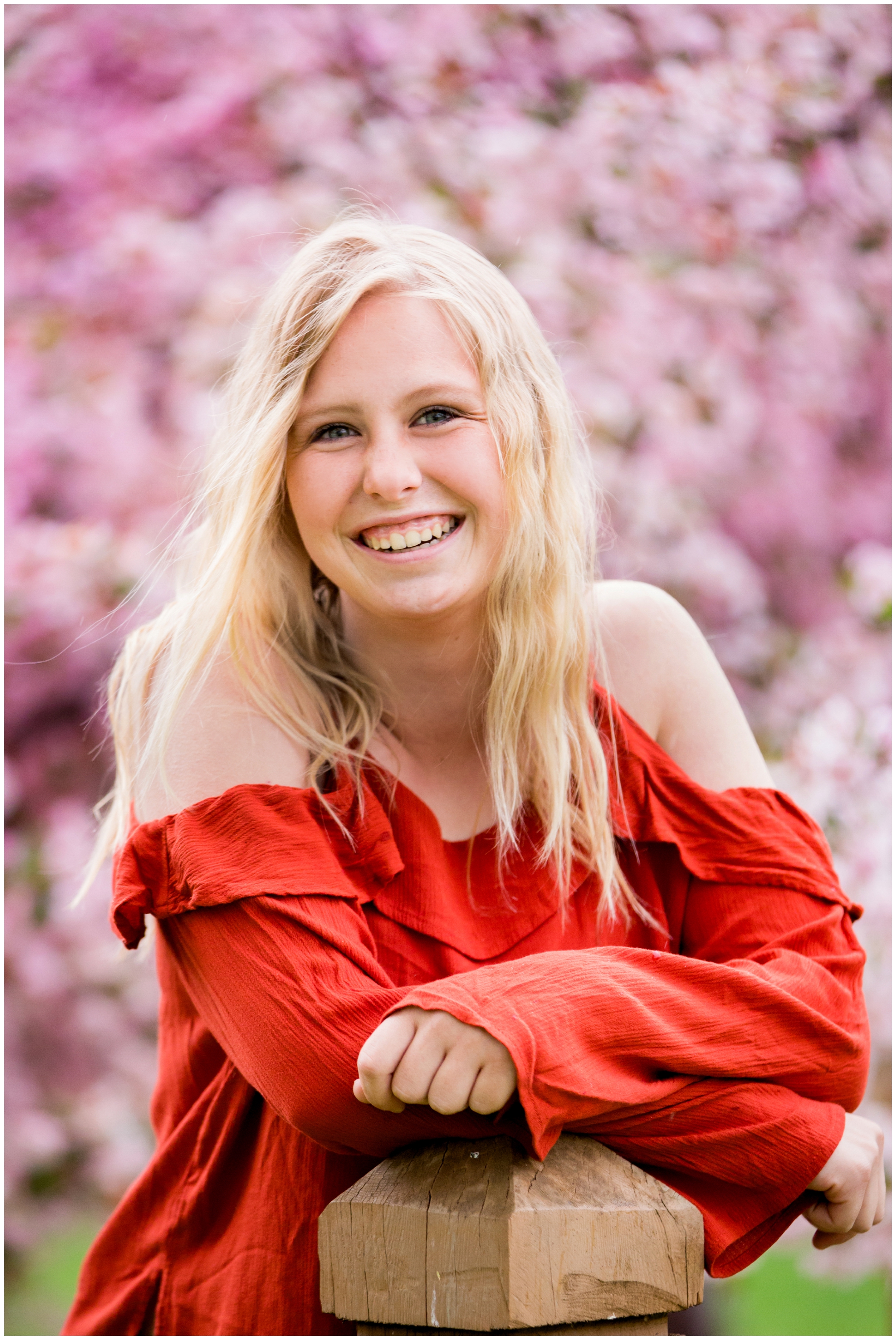 Longmont Colorado senior portraits with cherry blossom trees in the background 