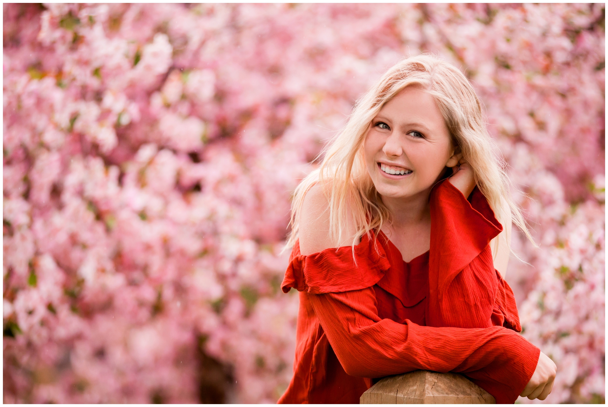 Longmont high senior pictures in cherry blossoms by Colorado portrait photographer Plum Pretty Photography