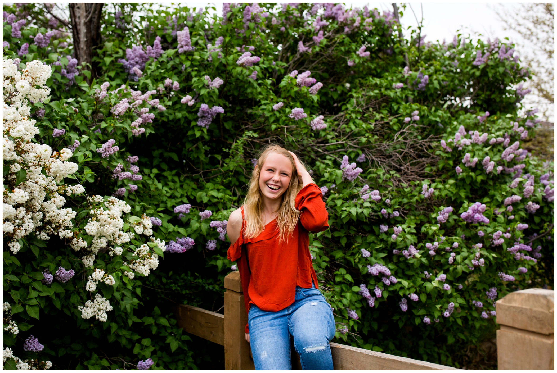 Longmont Colorado senior pictures with lilac bushes in the background 