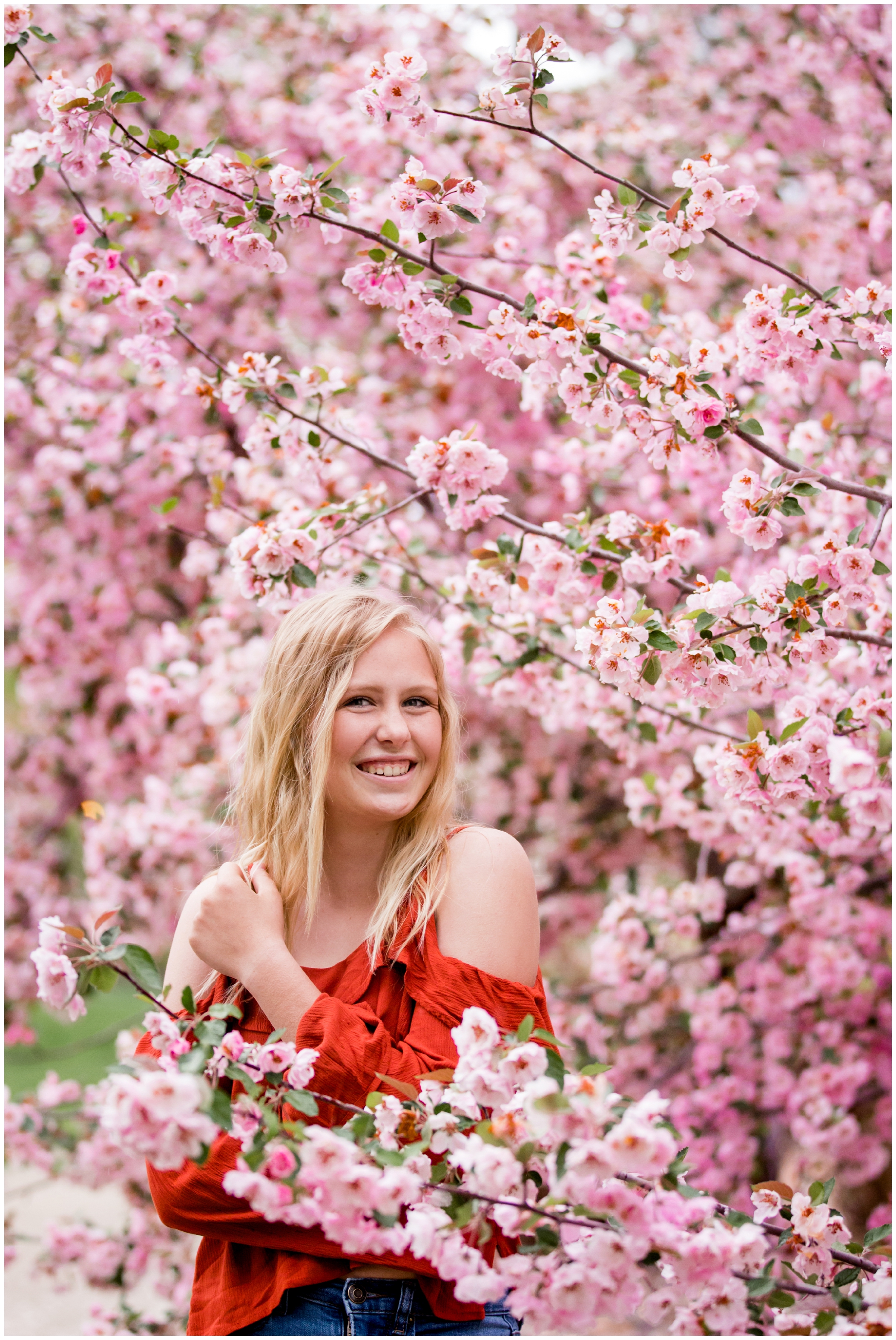 Longmont Colorado cherry blossom senior portraits 