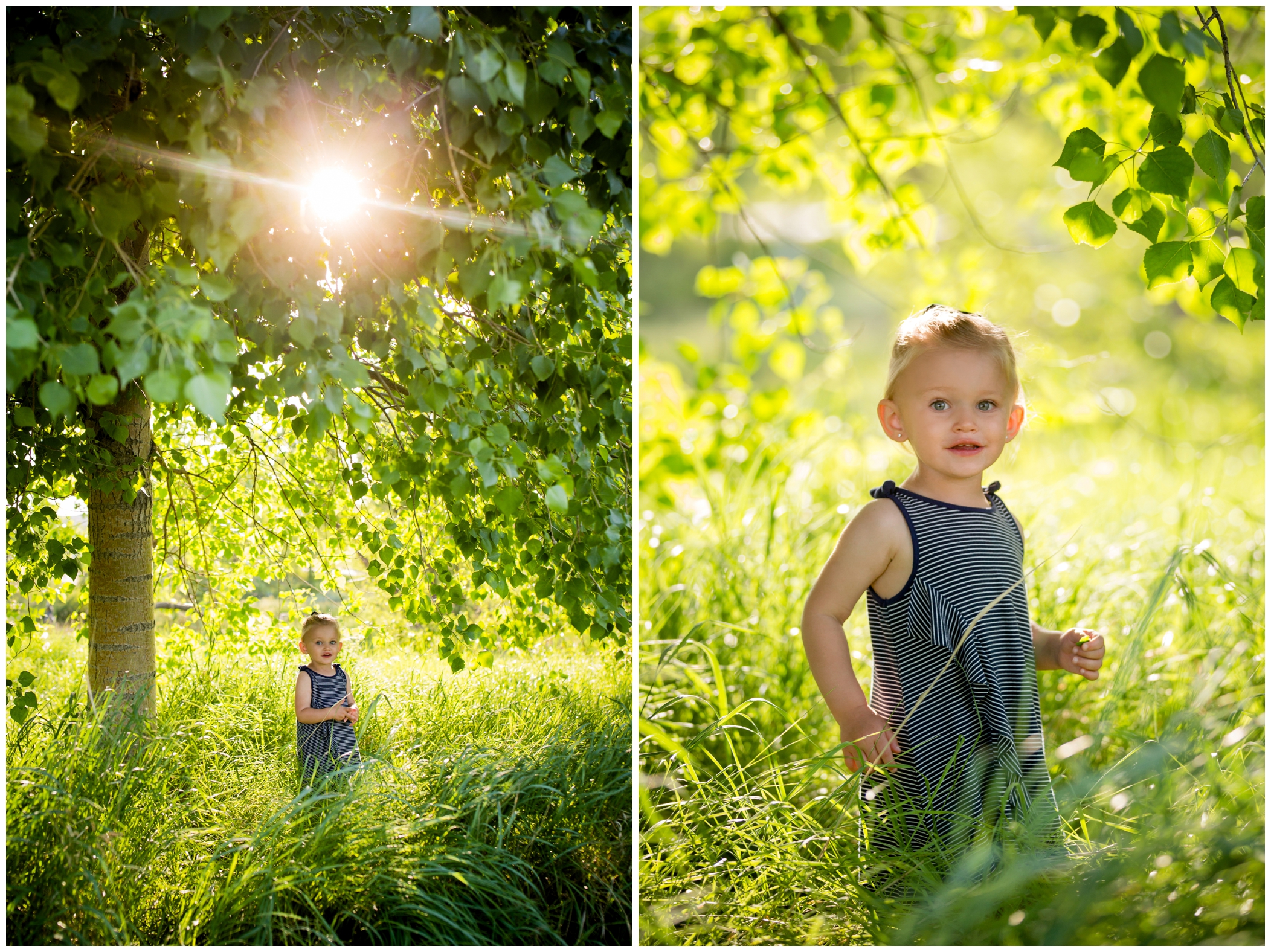 toddler girl standing in tall grasses at Chapungu Sculpture Gardens family photo session
