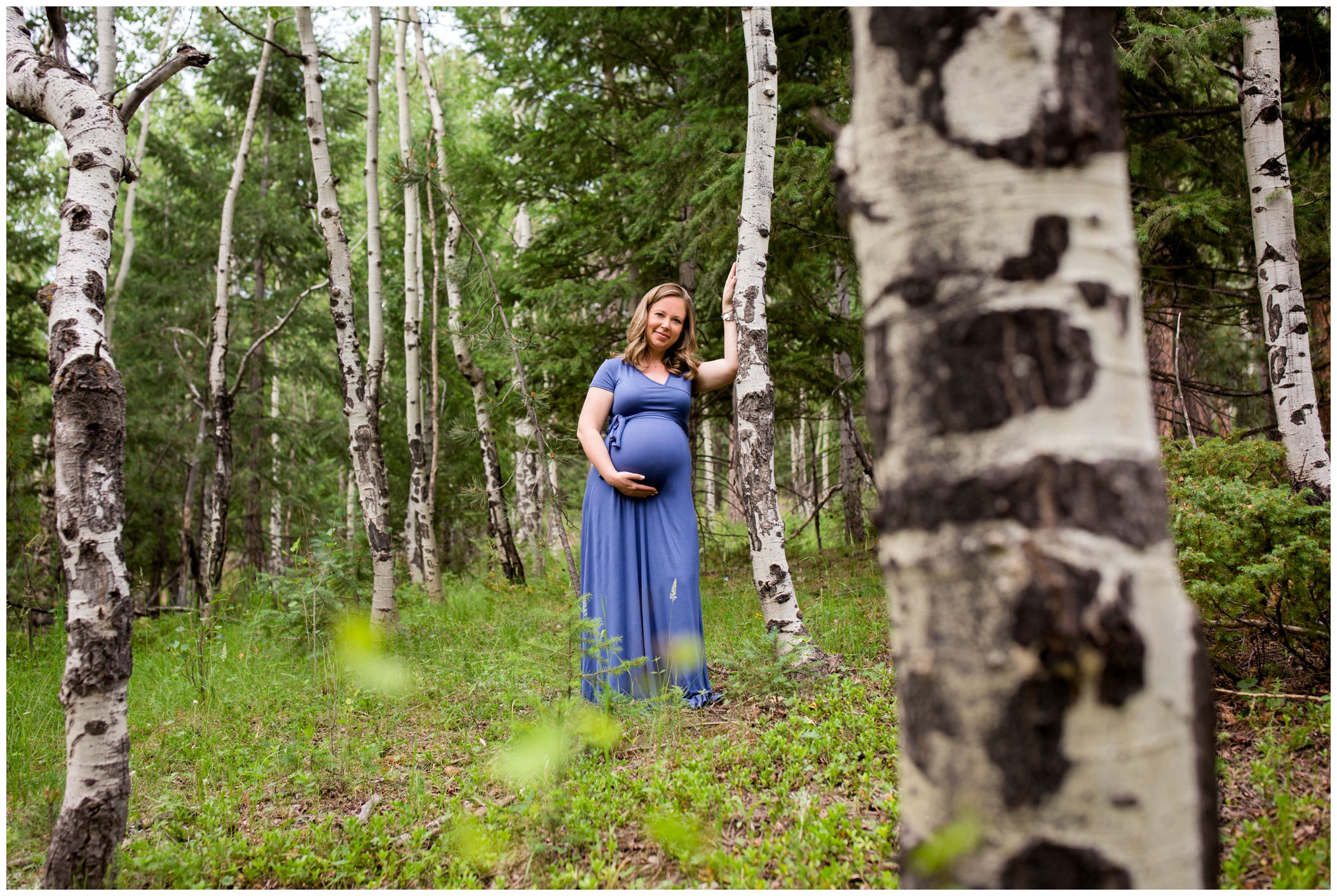 Evergreen Colorado maternity photography with aspen trees