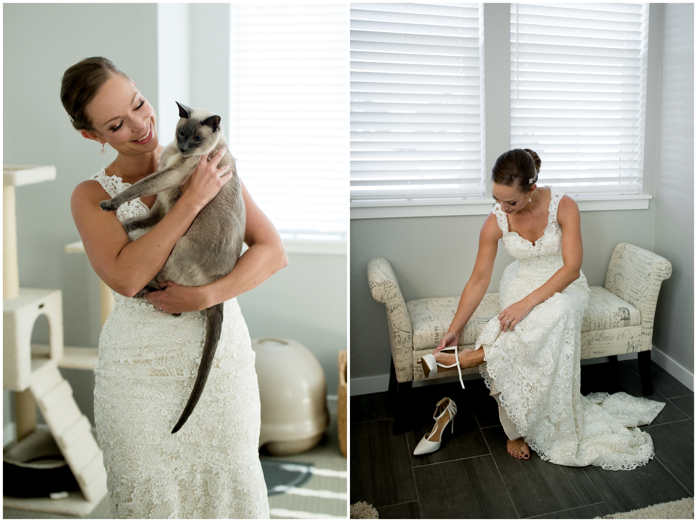 bride holding her cat at Colorado wedding 
