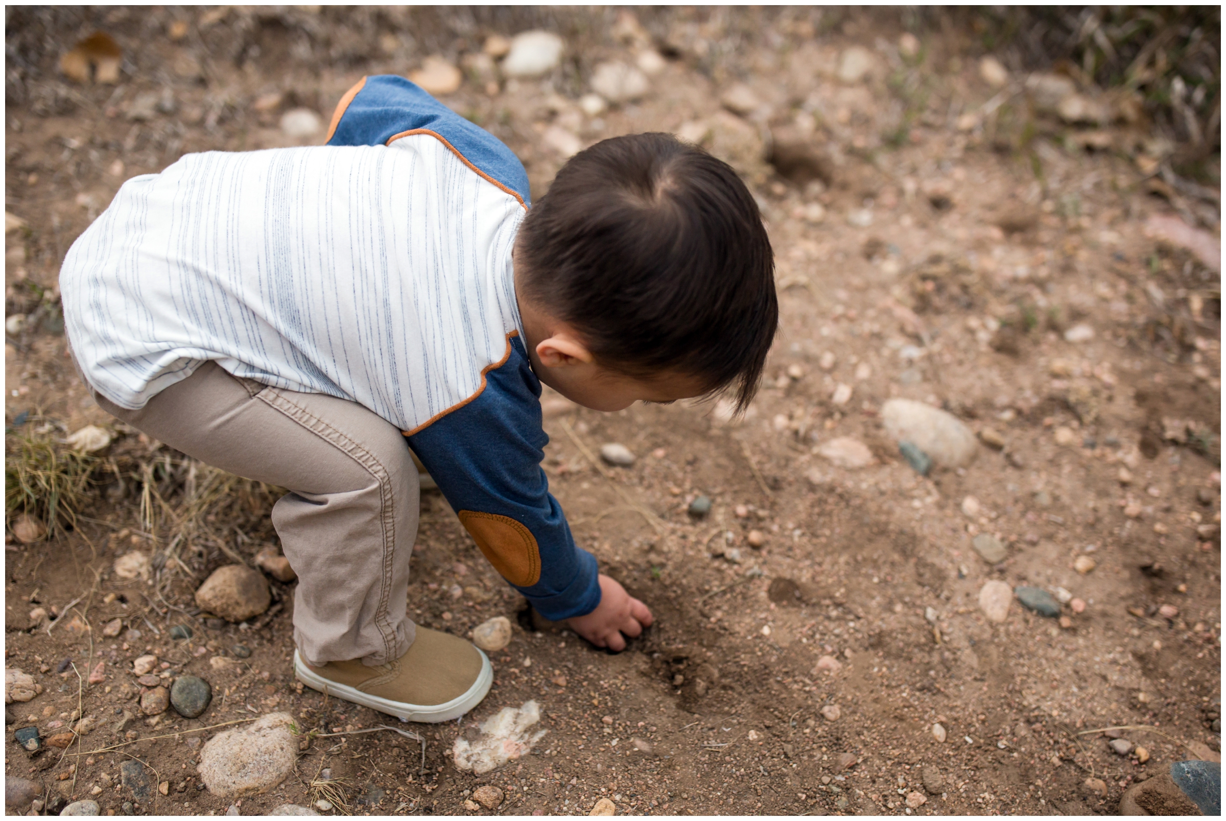 little boy playing in dirt during Fort Collins family photos 
