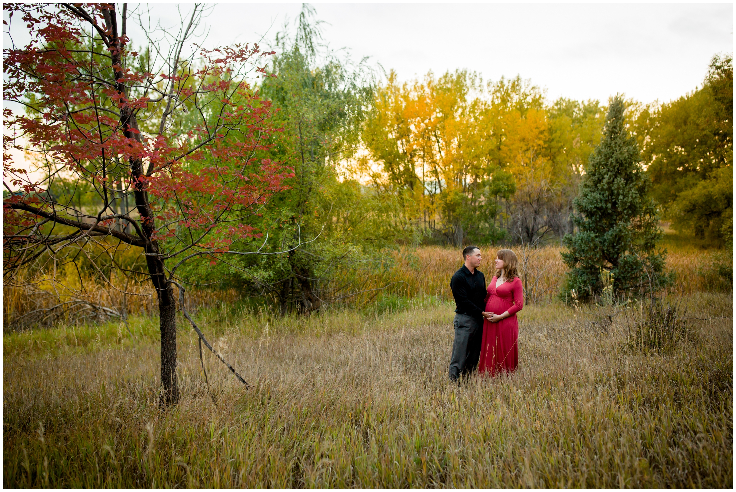 fall Fort Collins Colorado maternity portraits with colorful trees in background 