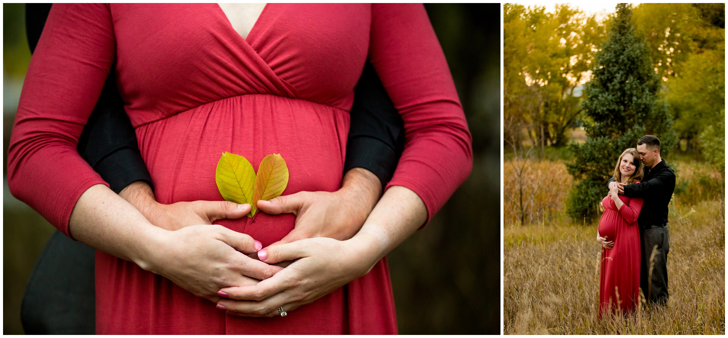 fall Ft. Collins maternity portraits by Colorado photographer Plum Pretty Photo 