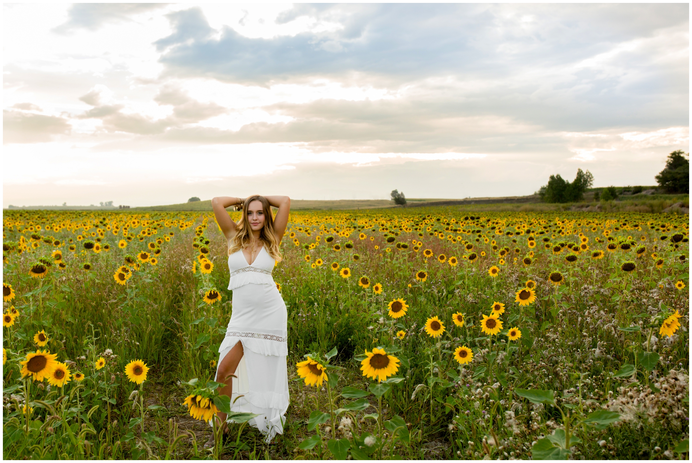 Berthoud senior photos in sunflower field by Colorado portrait photographer Plum Pretty Photography