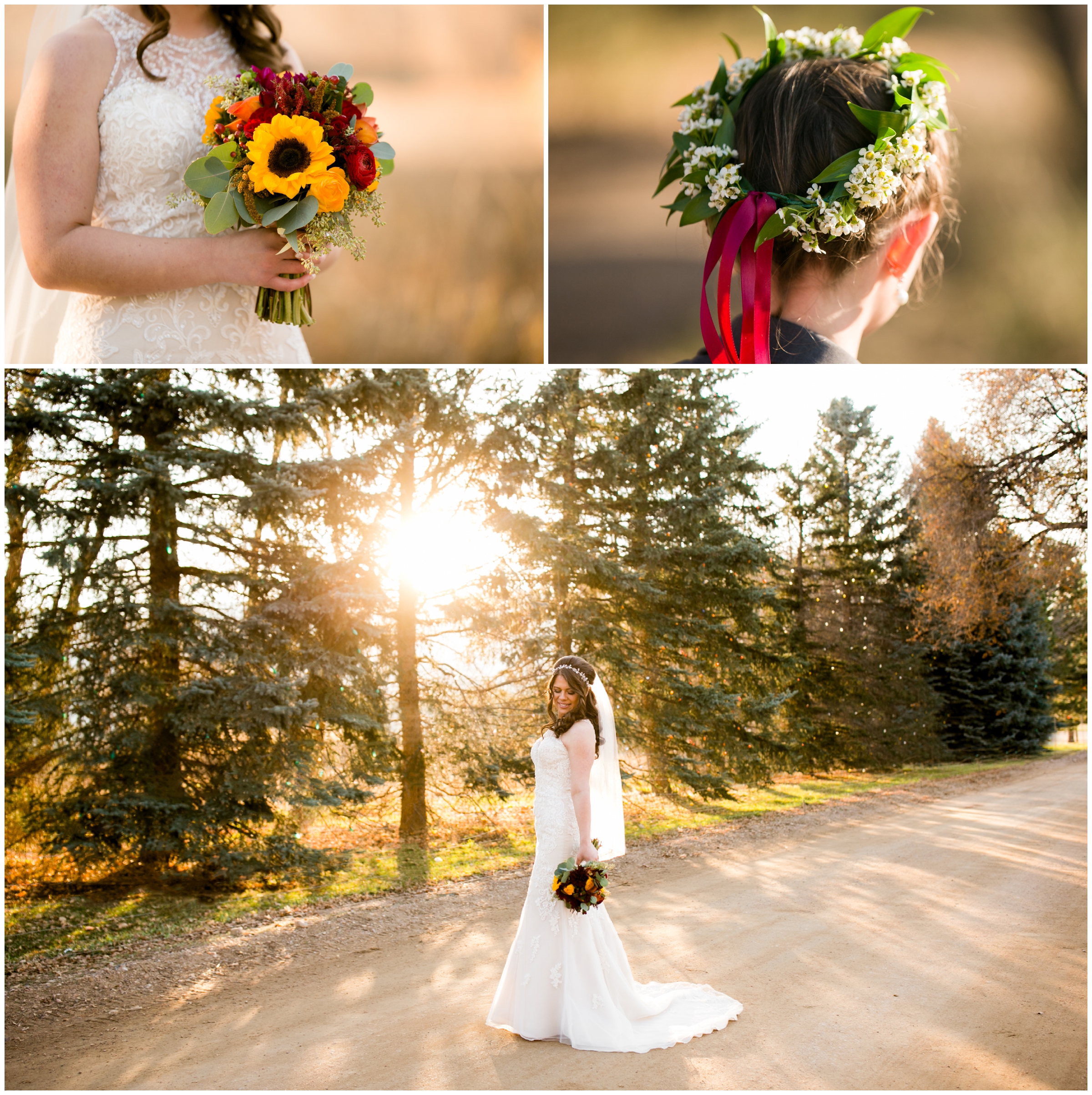 bride posing in beautiful sunlight at Chatfield Farms Colorado wedding 