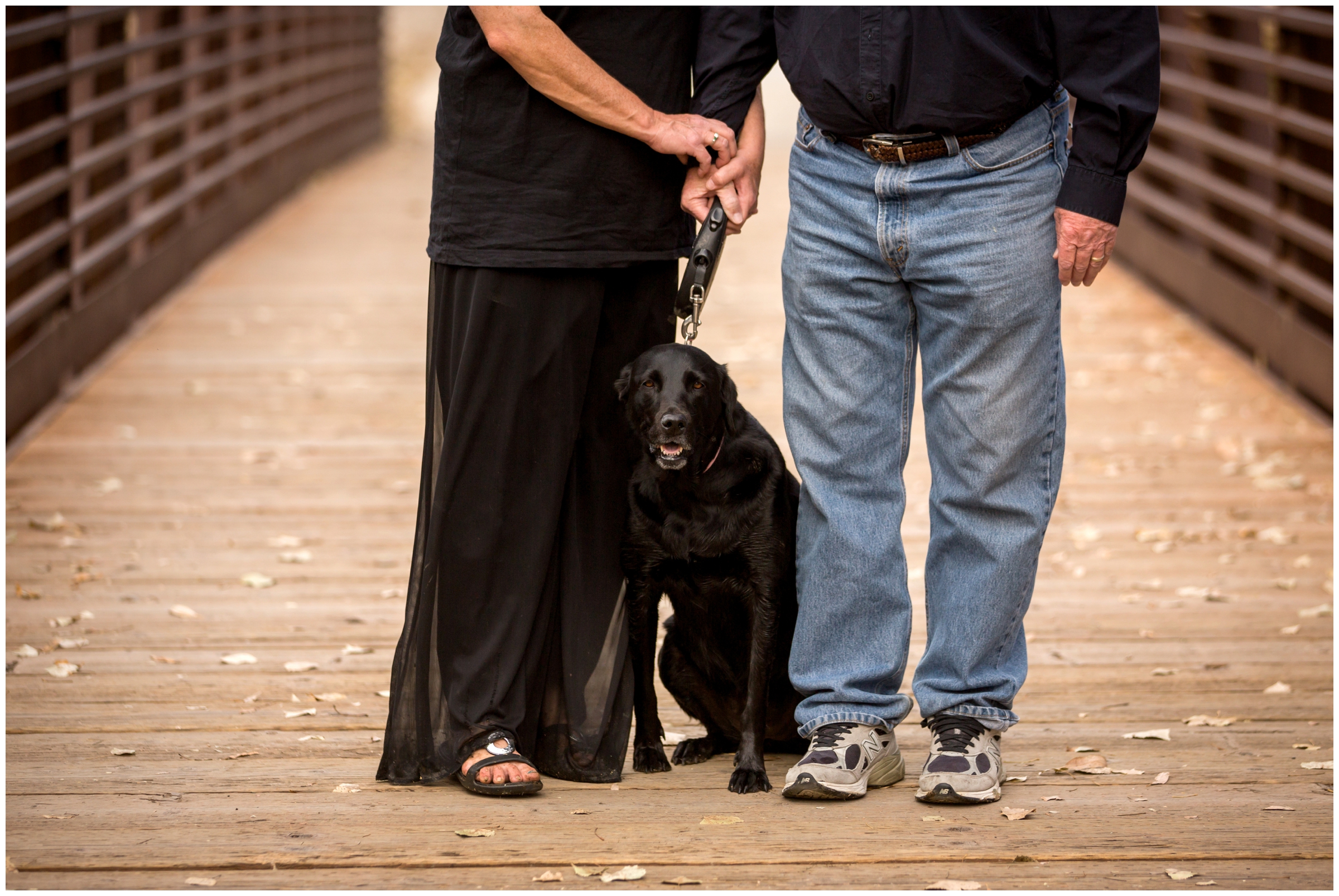 Longmont couple with dog on wooden bridge 
