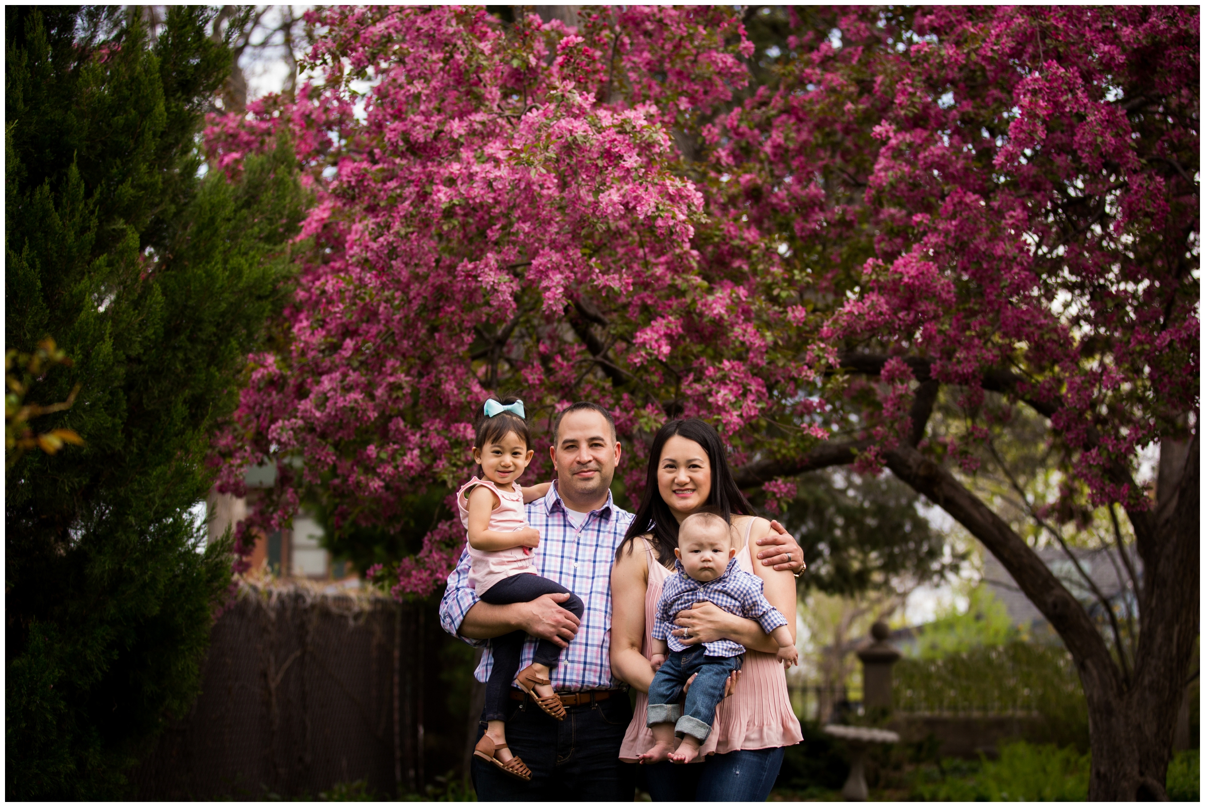 Colorado family pictures with colorful spring blossoming trees in background 