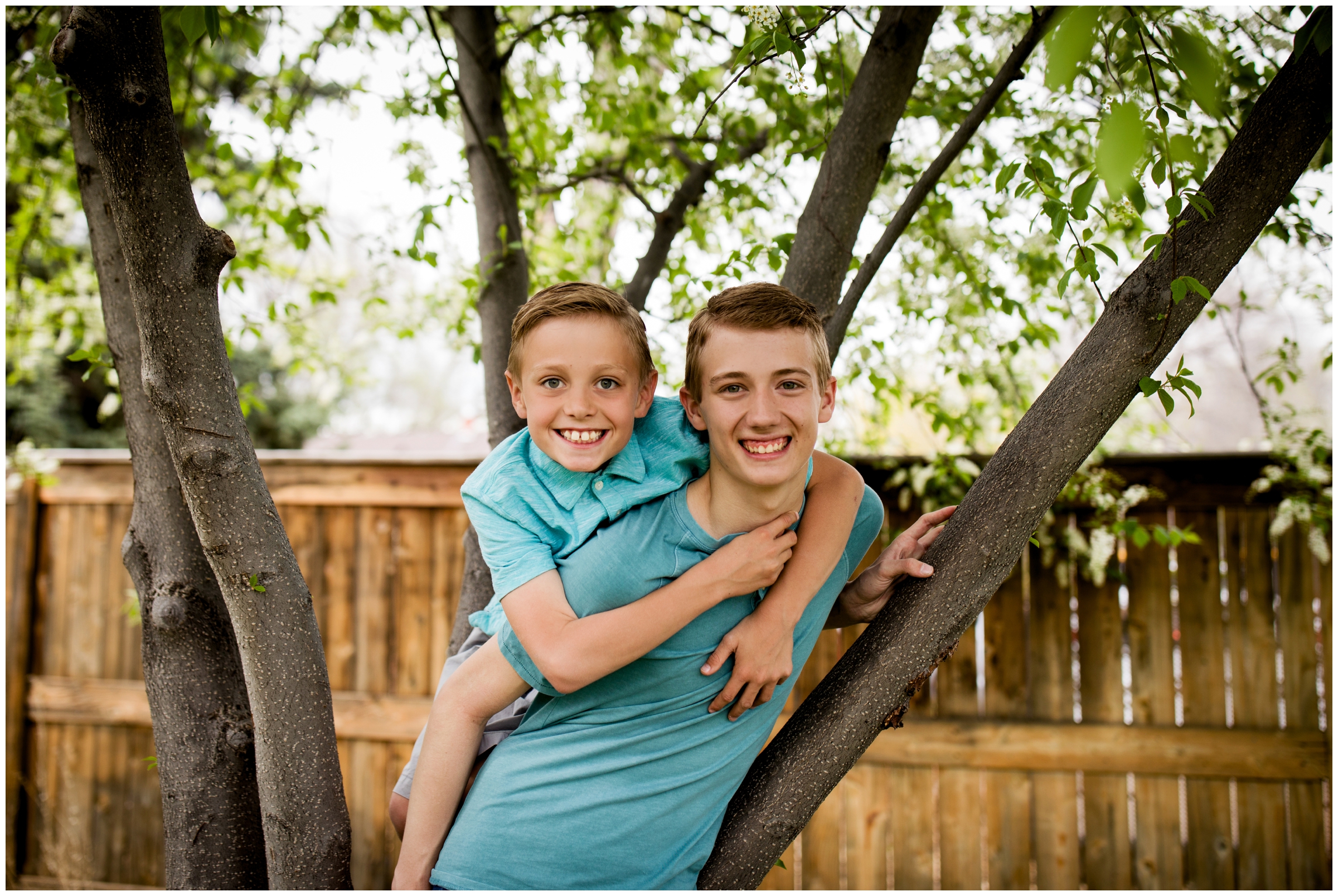 brothers hanging in a tree during Longmont family photography session 