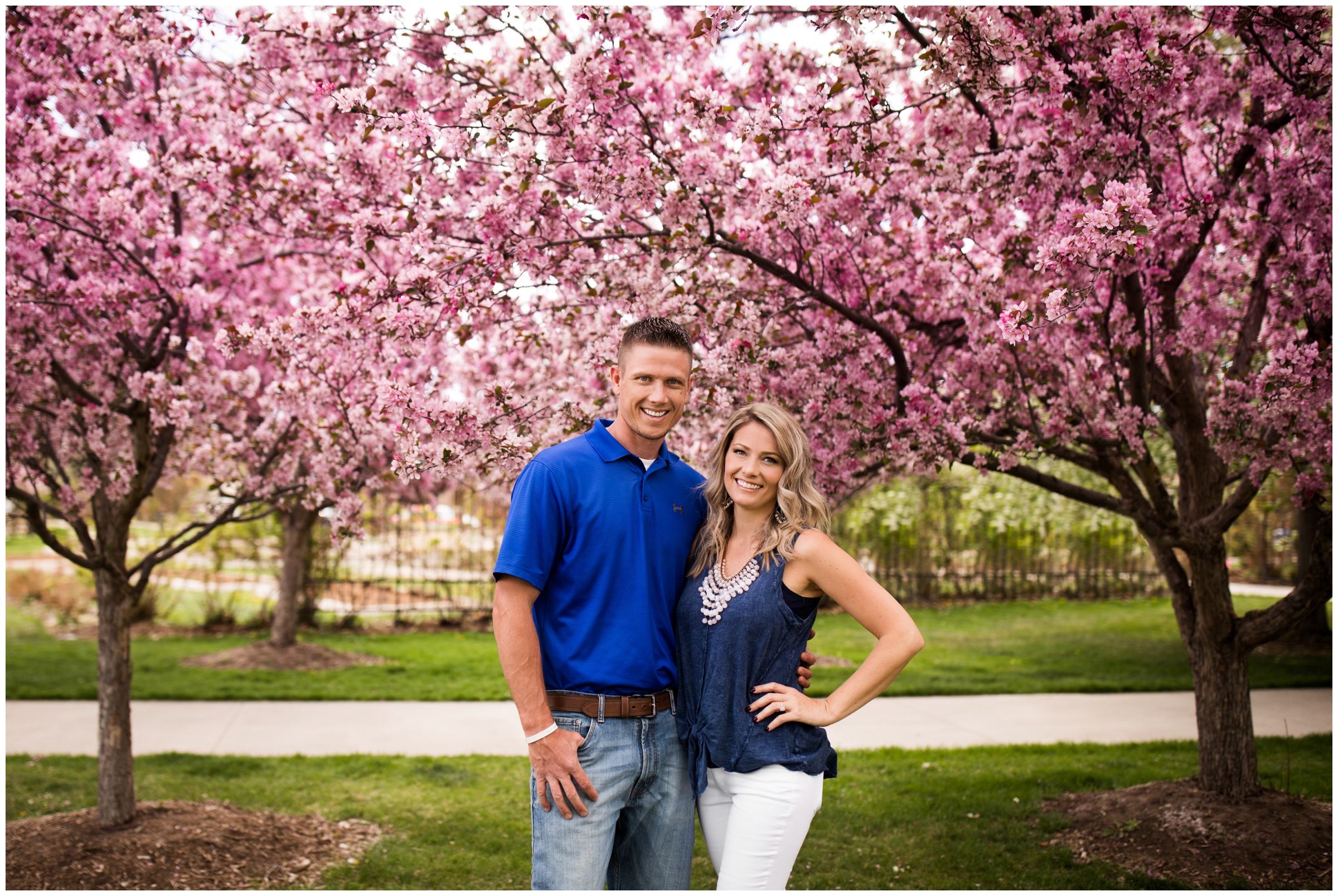 couple posing under cherry blossom trees during Longmont Colorado engagement photos  
