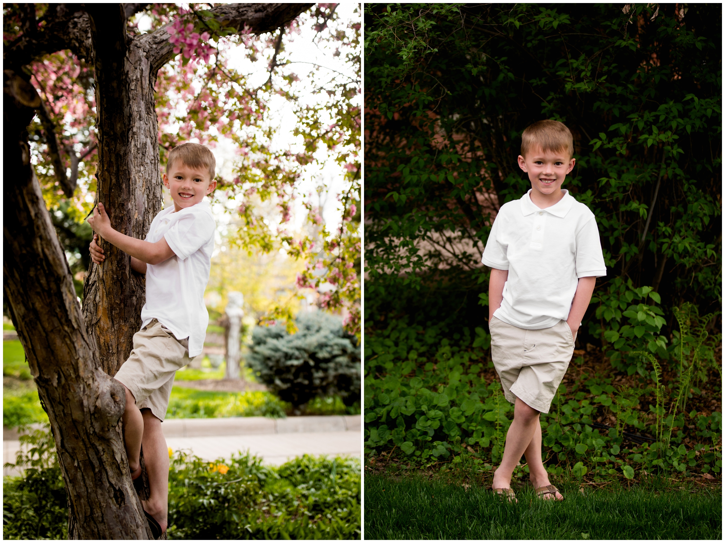 little boy climbing tree during Colorado family photos 