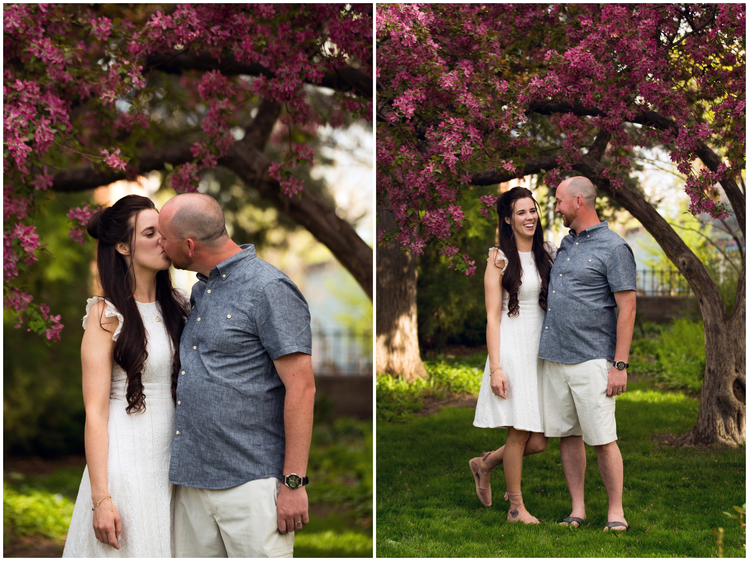 couple standing under cherry blossoms at Longmont Colorado family photos