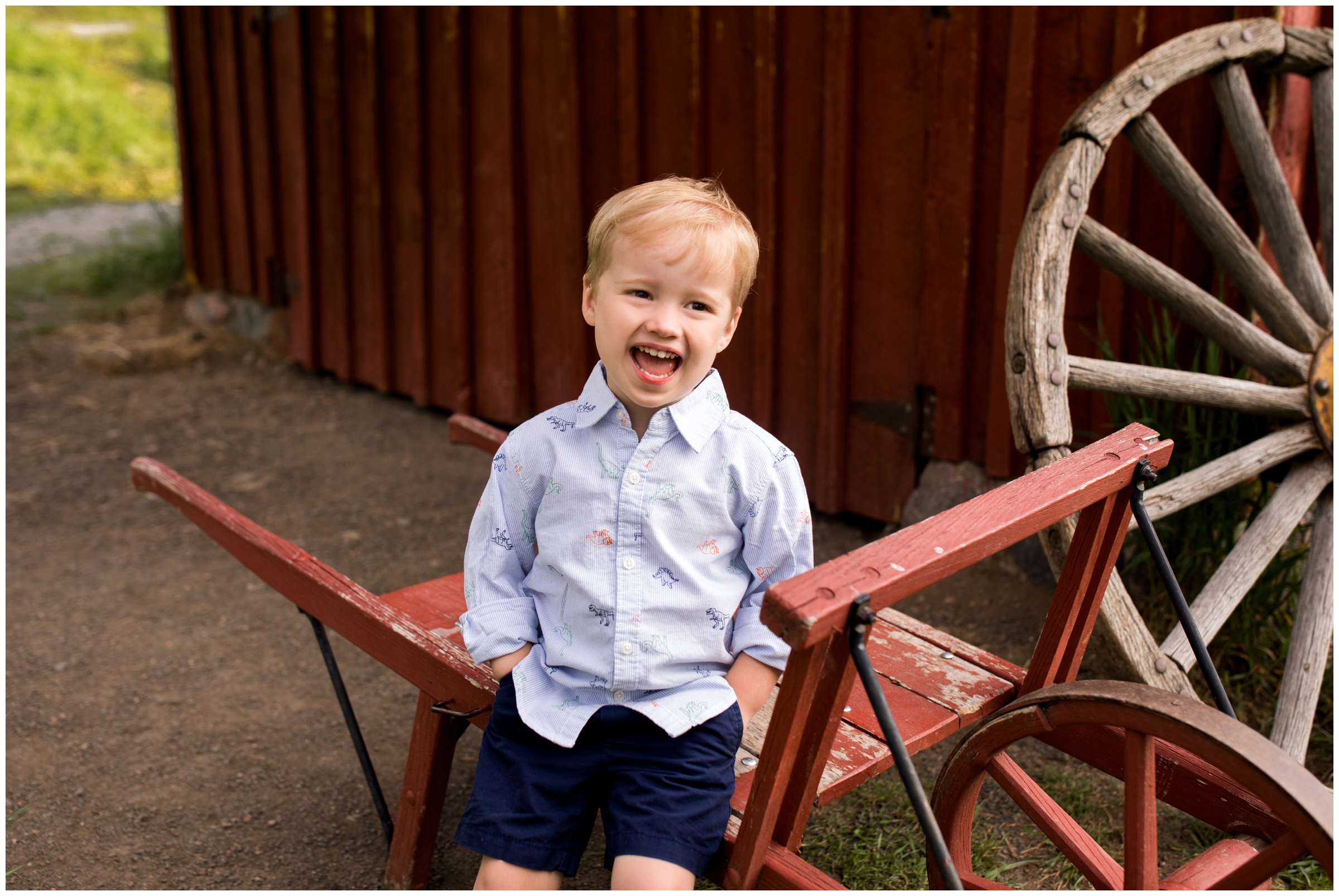 little boy laughing during rustic Colorado family photos 
