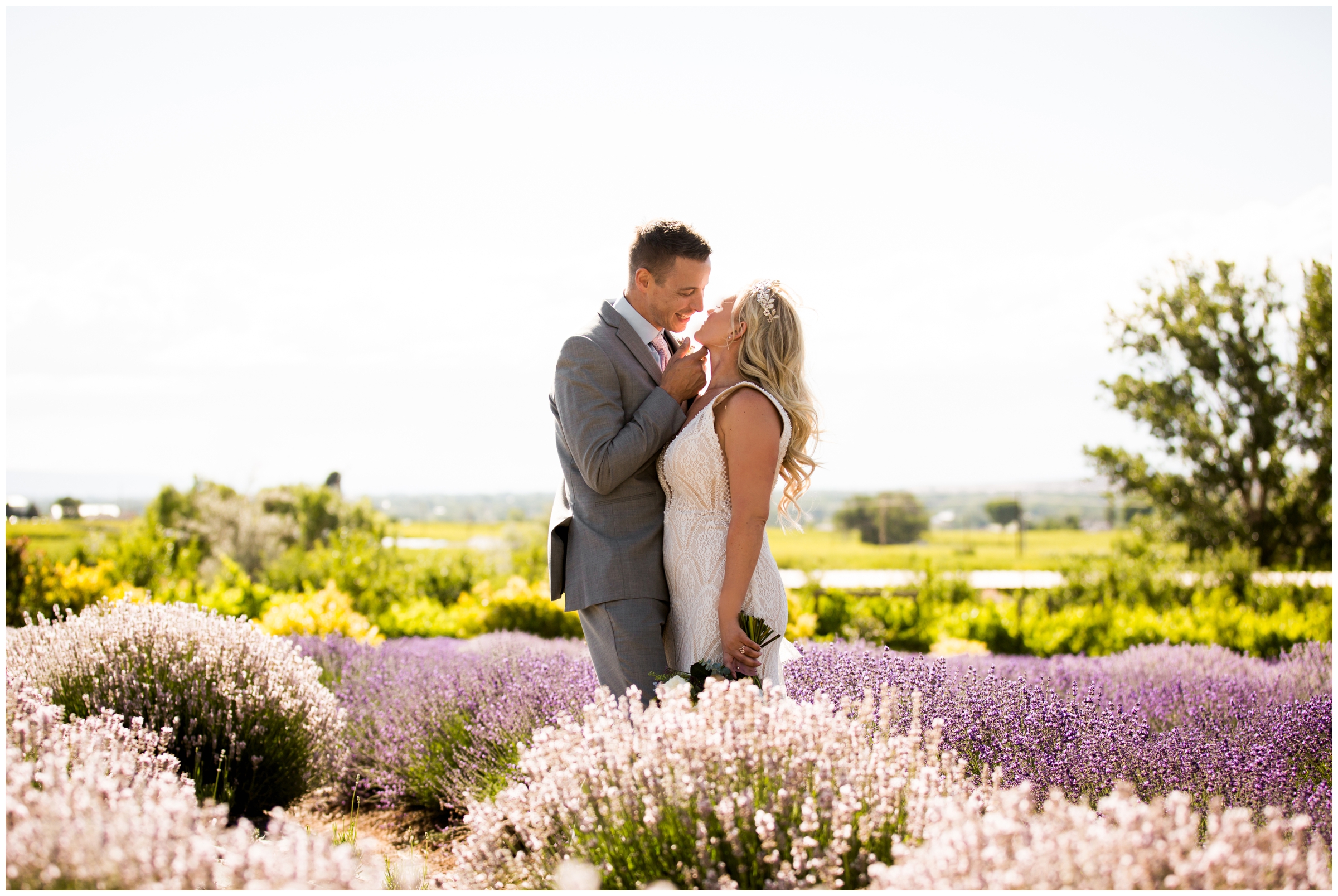 couple standing in lavender field at Palisade Colorado wedding styled shoot 