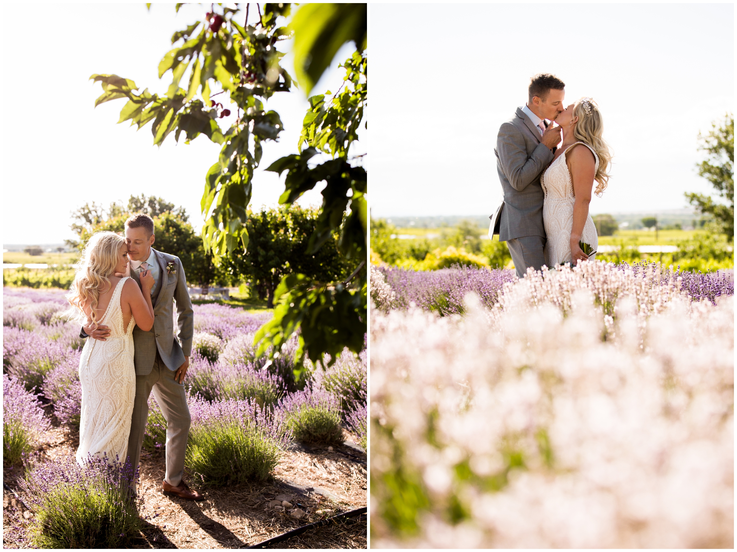couple kissing in flower field during Colorado summer mountain wedding 