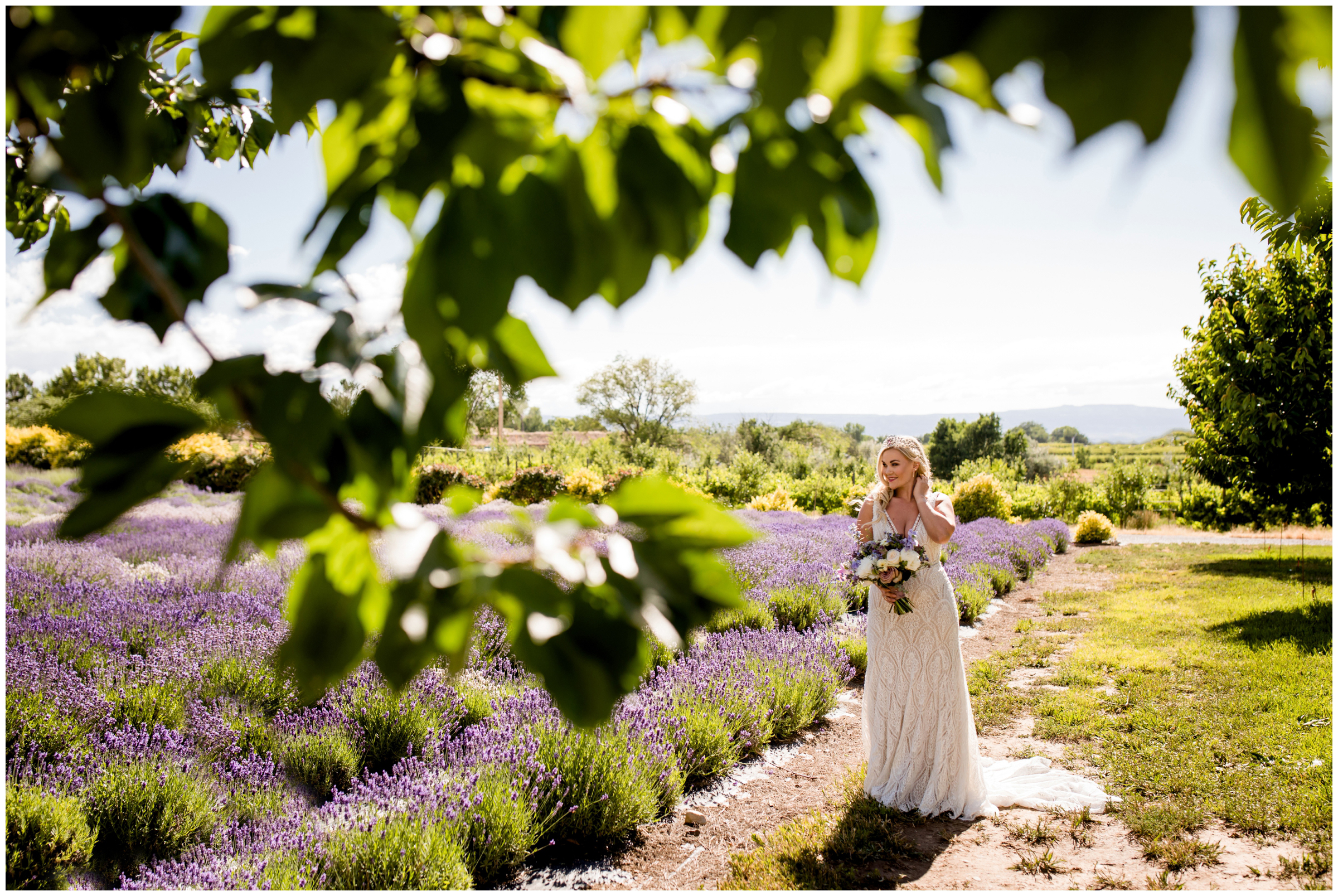 Palisade Colorado wedding photos in a lavender field