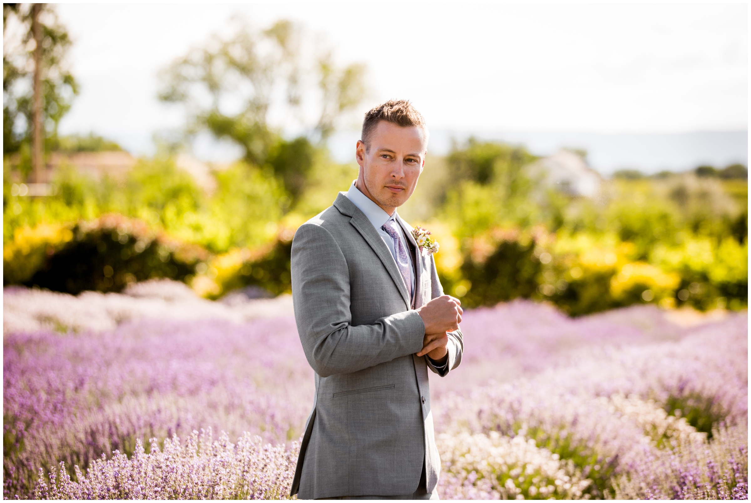 groom posing in lavender field during Palisade Colorado wedding photos 