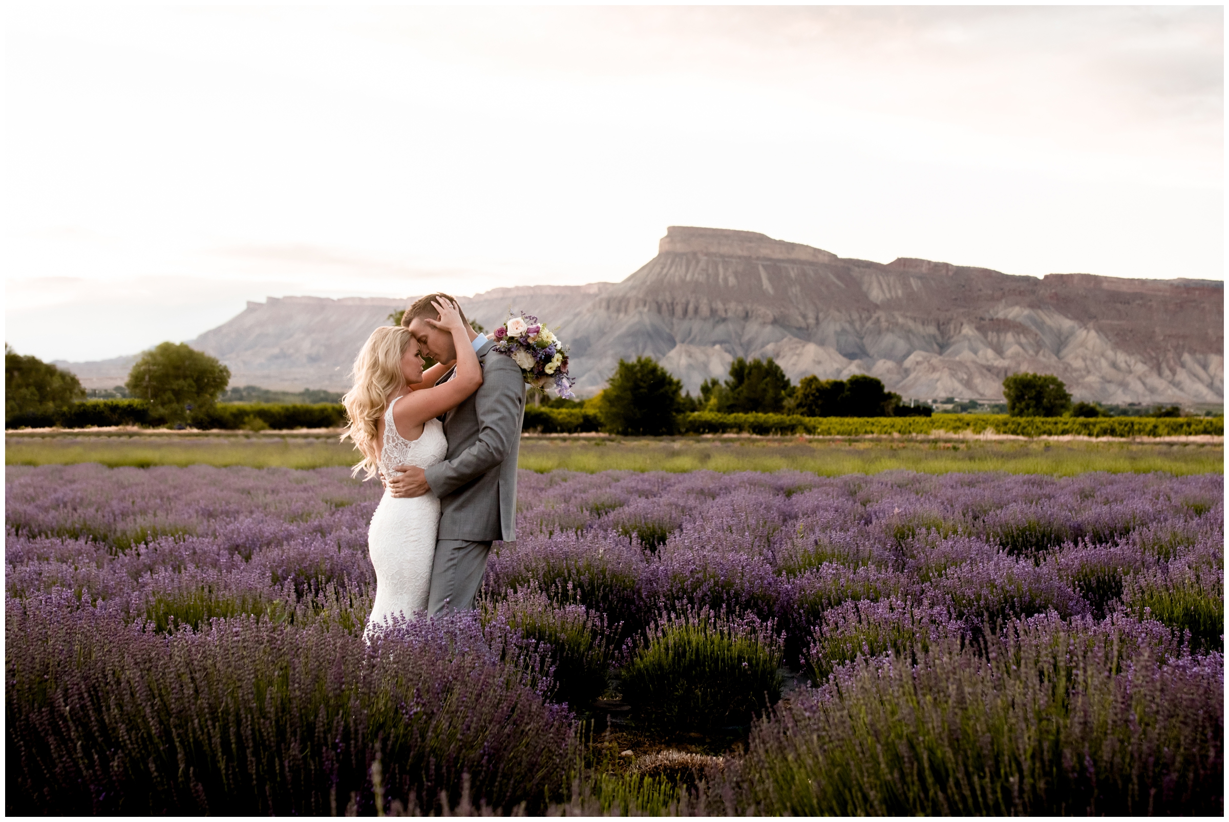 couple embracing in a flower field with mountains in background during Palisade Colorado wedding photos 