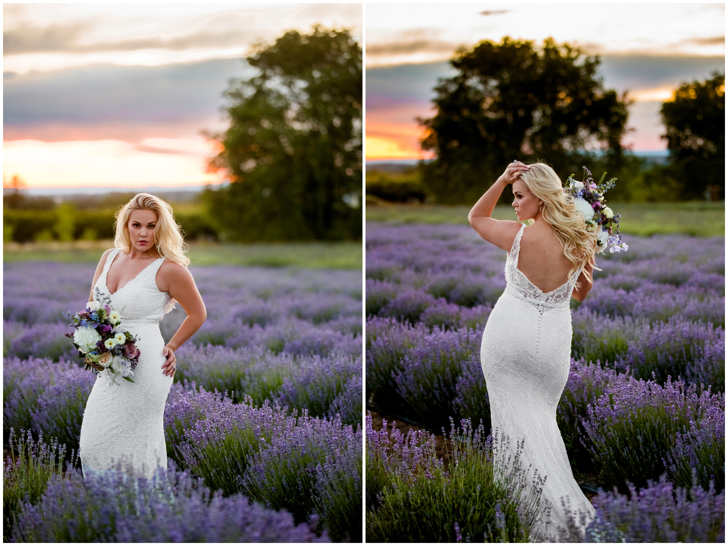 bride posing in lavender field at Colorado mountain elopement 
