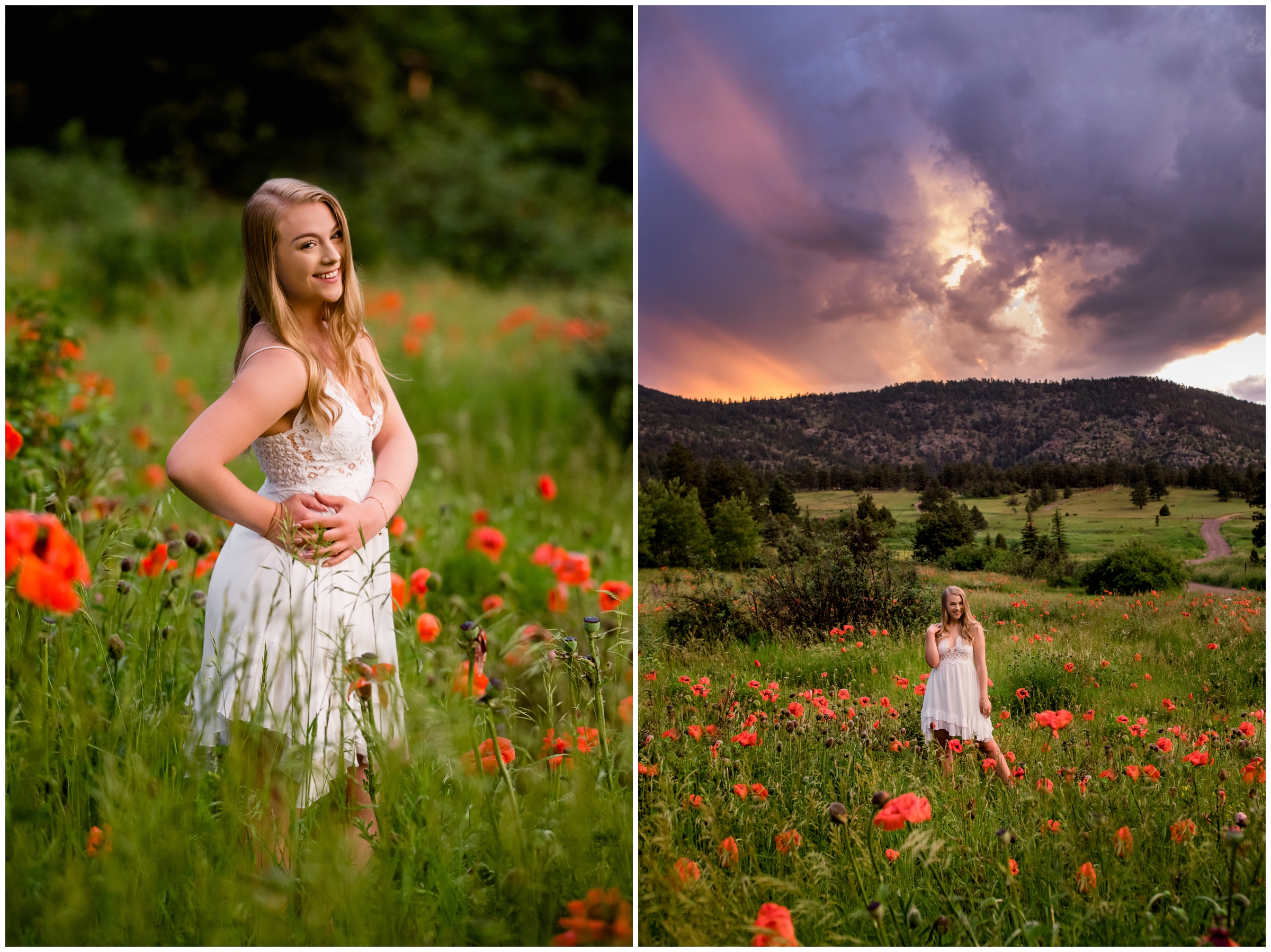 Colorado flower field high school senior portraits inspiration 