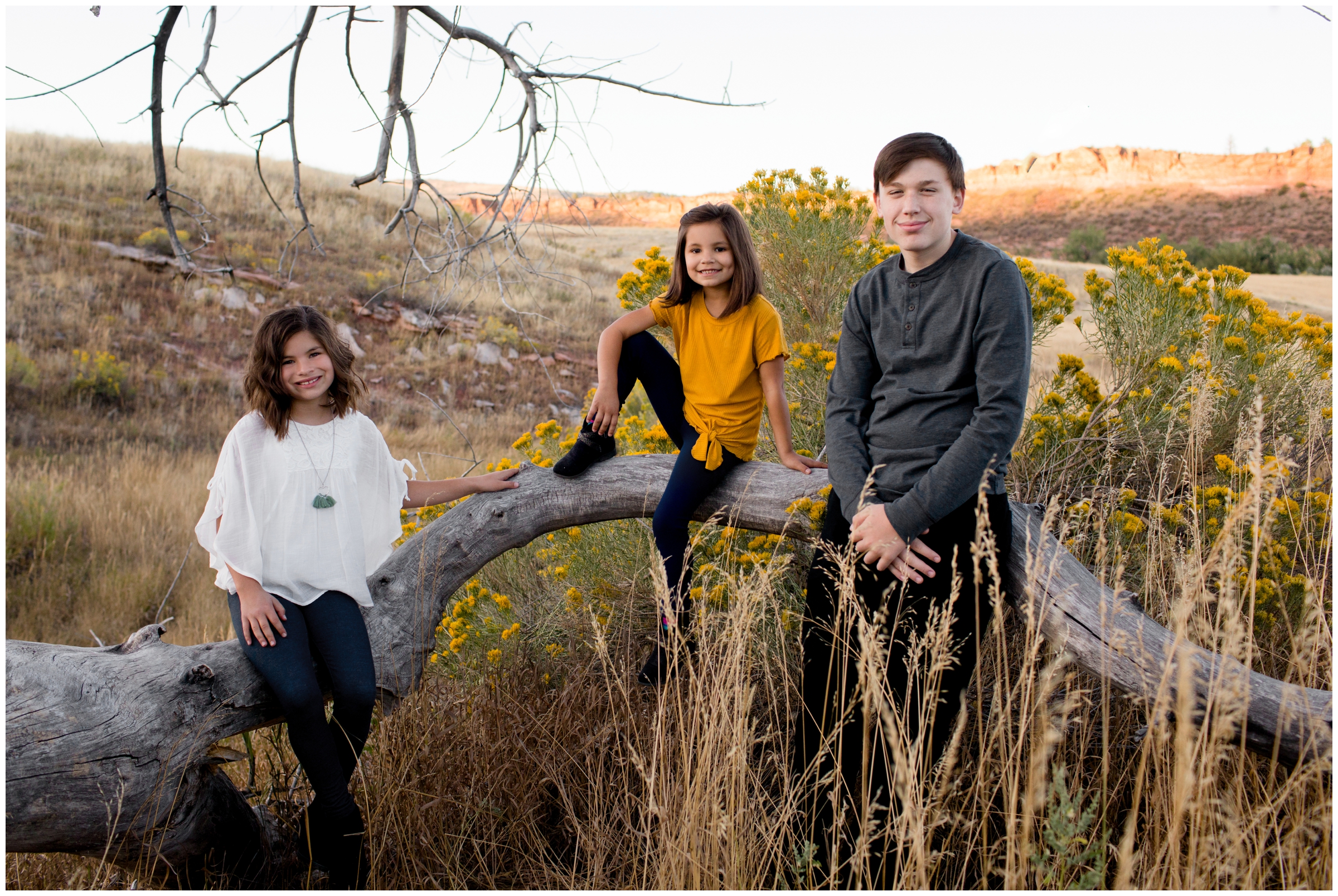 kids posing on fallen tree during Loveland family photography session 