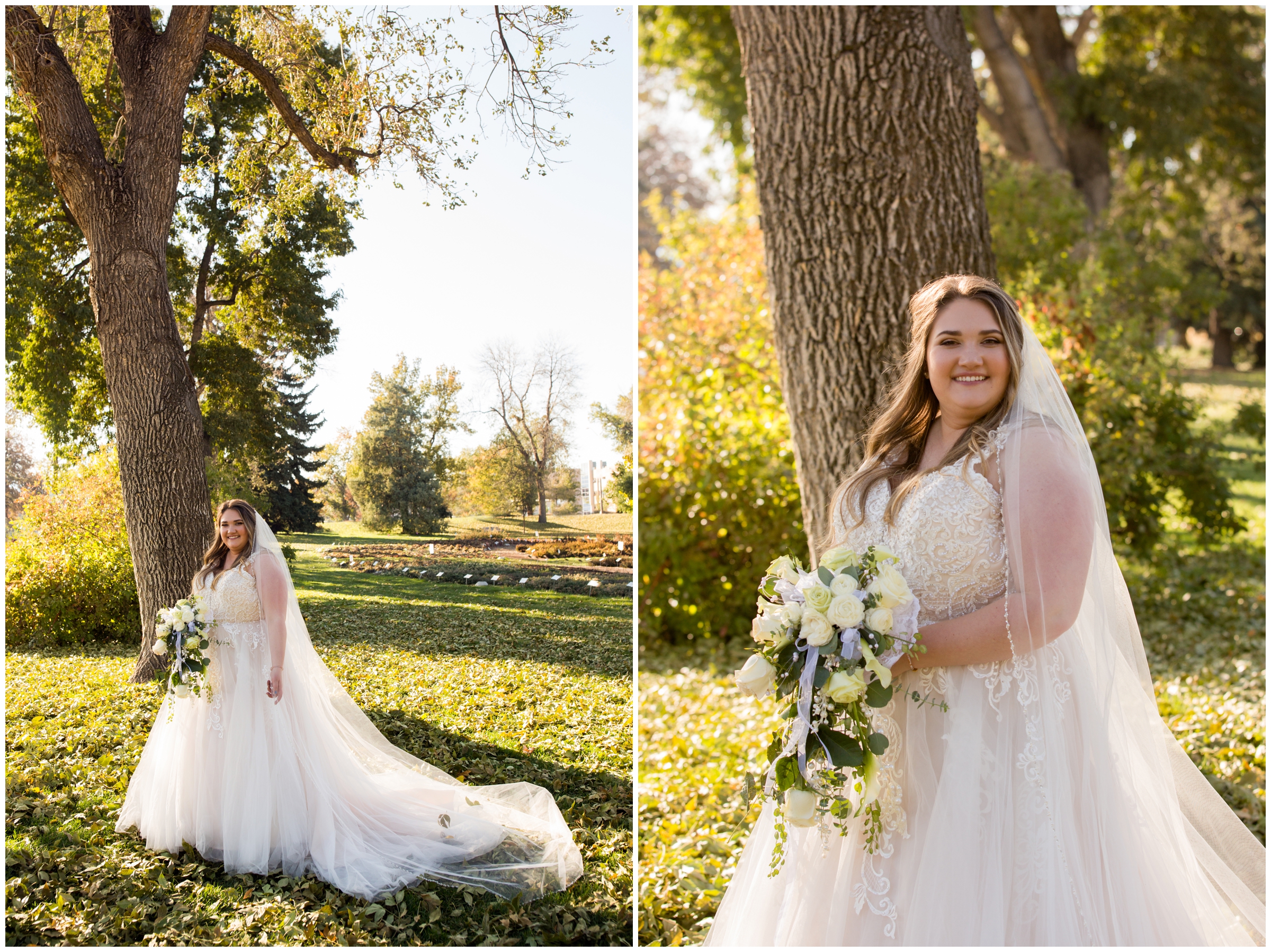 bride posing under a tree at her fall Colorado wedding in Fort Collins 