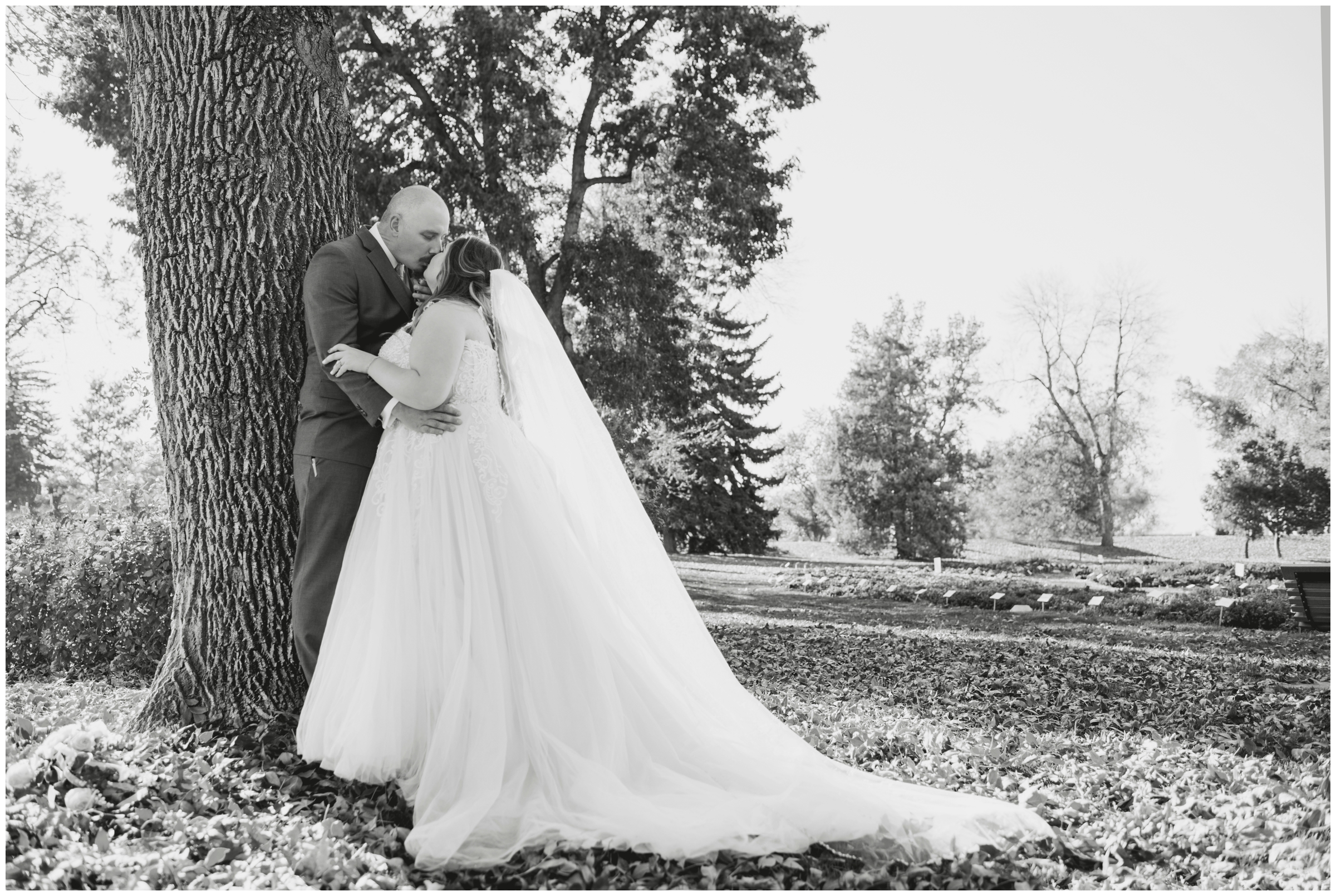 Fort Collins wedding photography by Colorado photographer Plum Pretty Photo