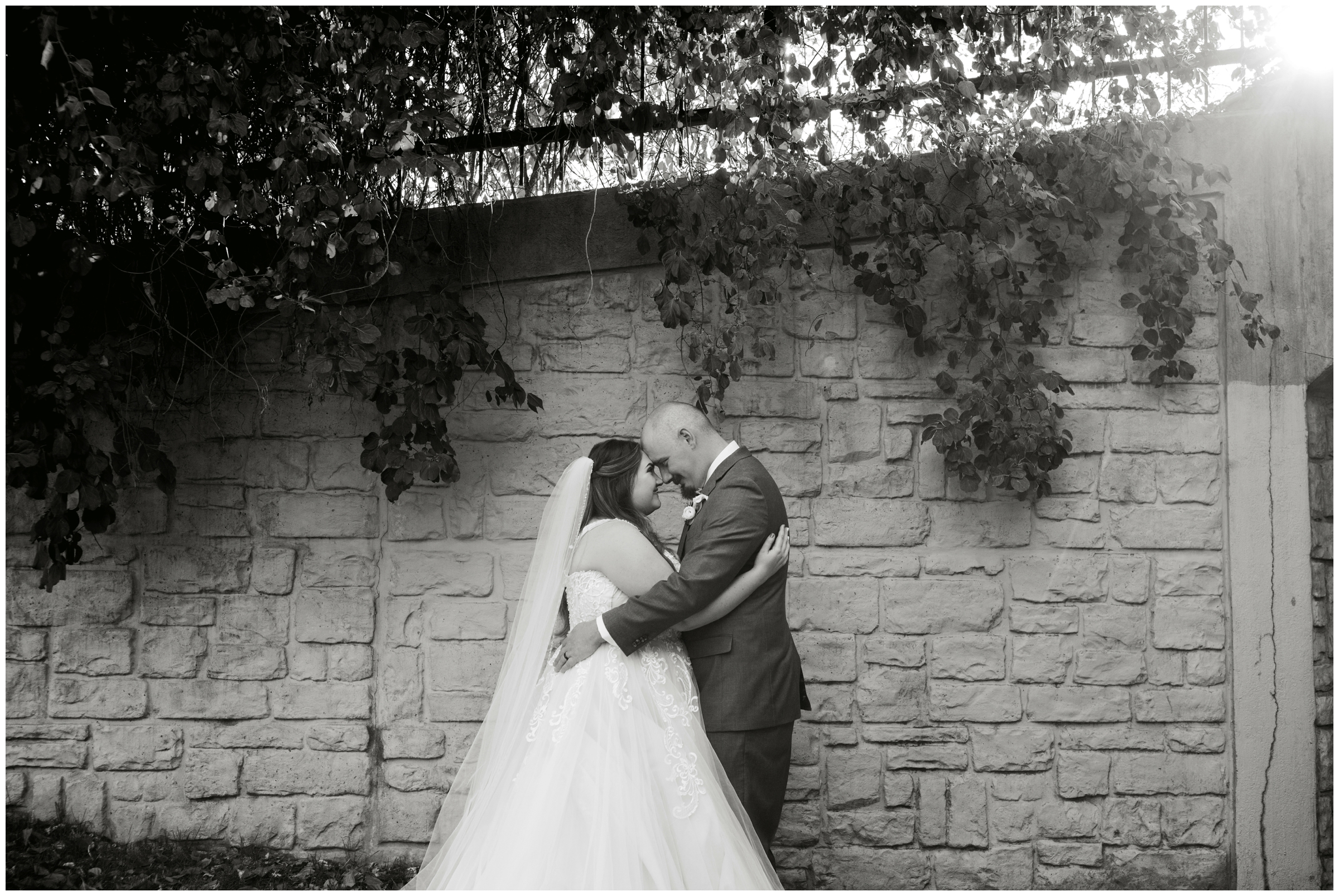 black and white fort Collins Colorado wedding portraits 