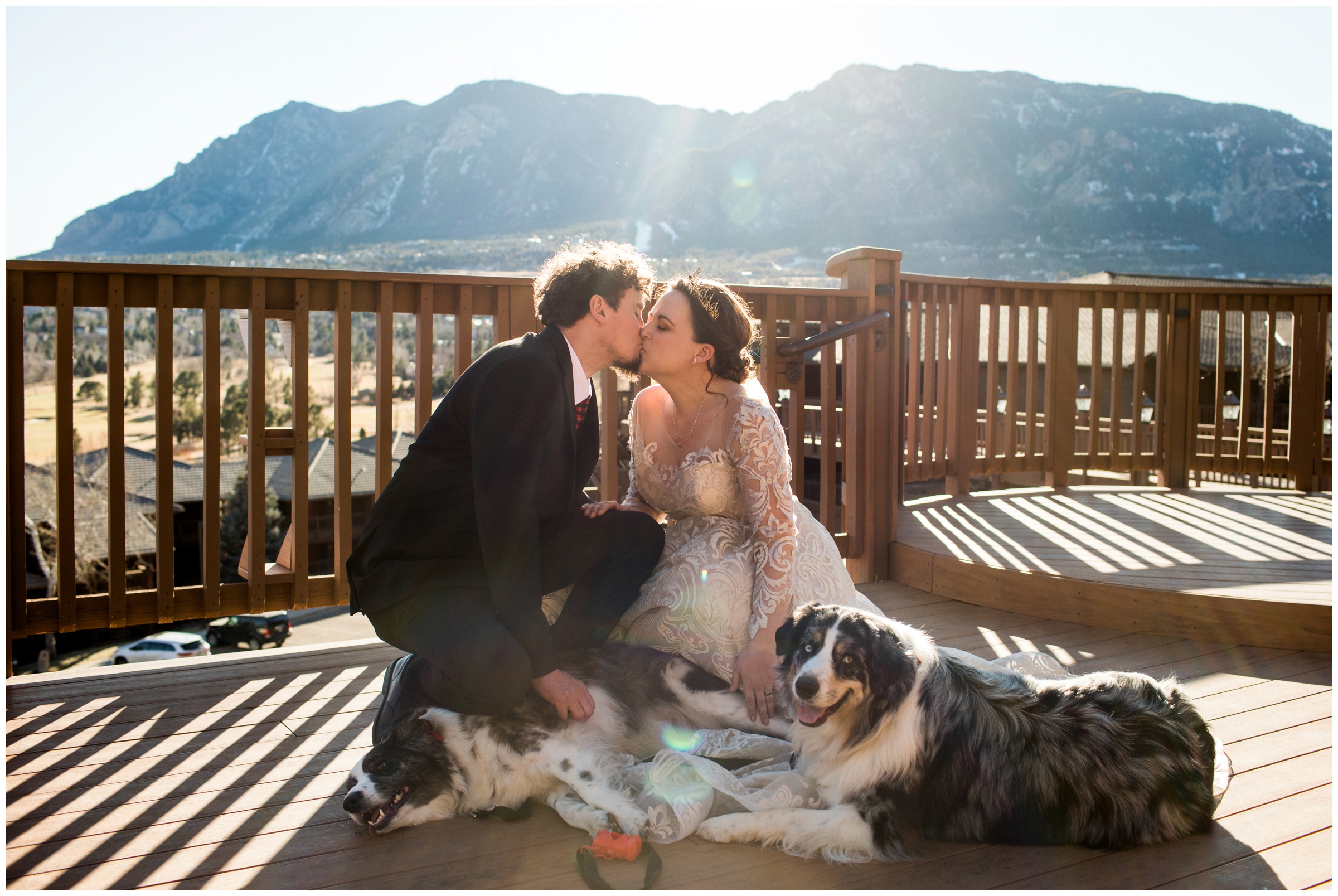 wedding couple with their dog ring bearers at Colorado winter wedding 