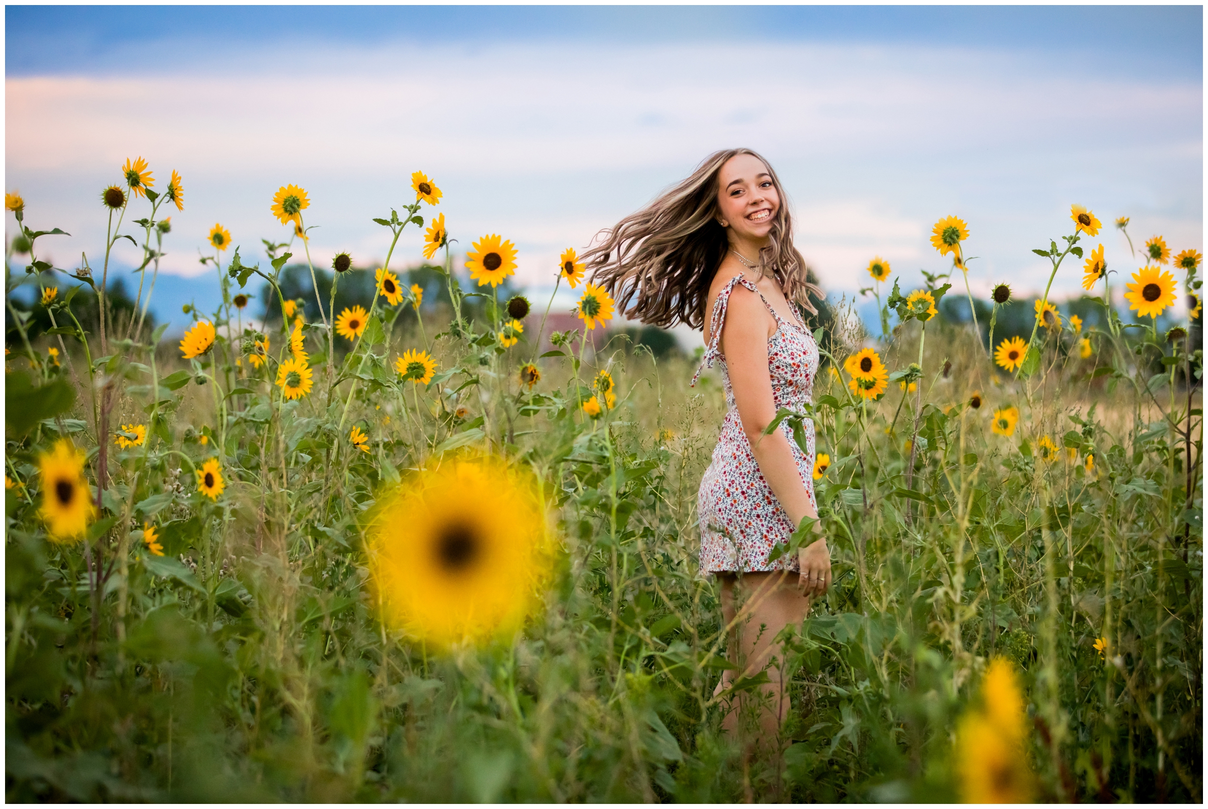 sunflower field senior photography inspiration in Longmont Colorado 
