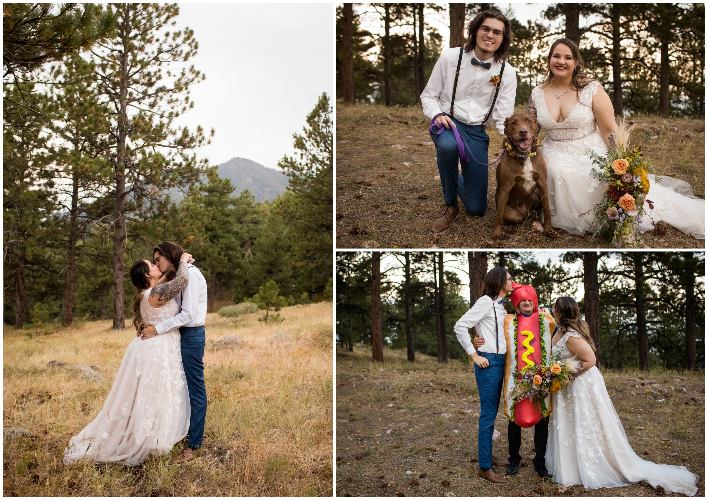 bride and groom posing with their dog on Flagstaff Mountain in Boulder 