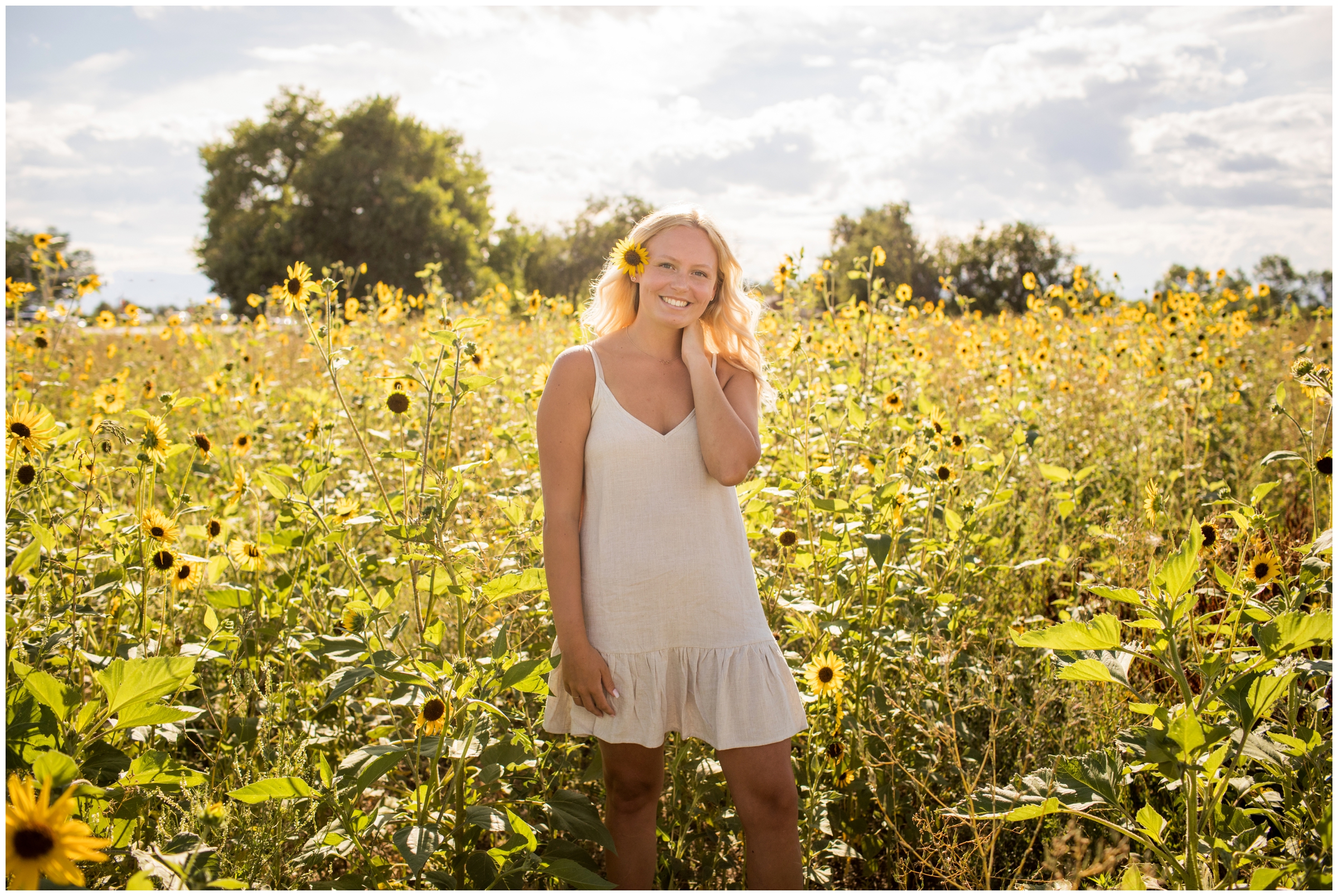 Erie senior portraits in a sunflower field by Northern Colorado photographer Plum Pretty Photography