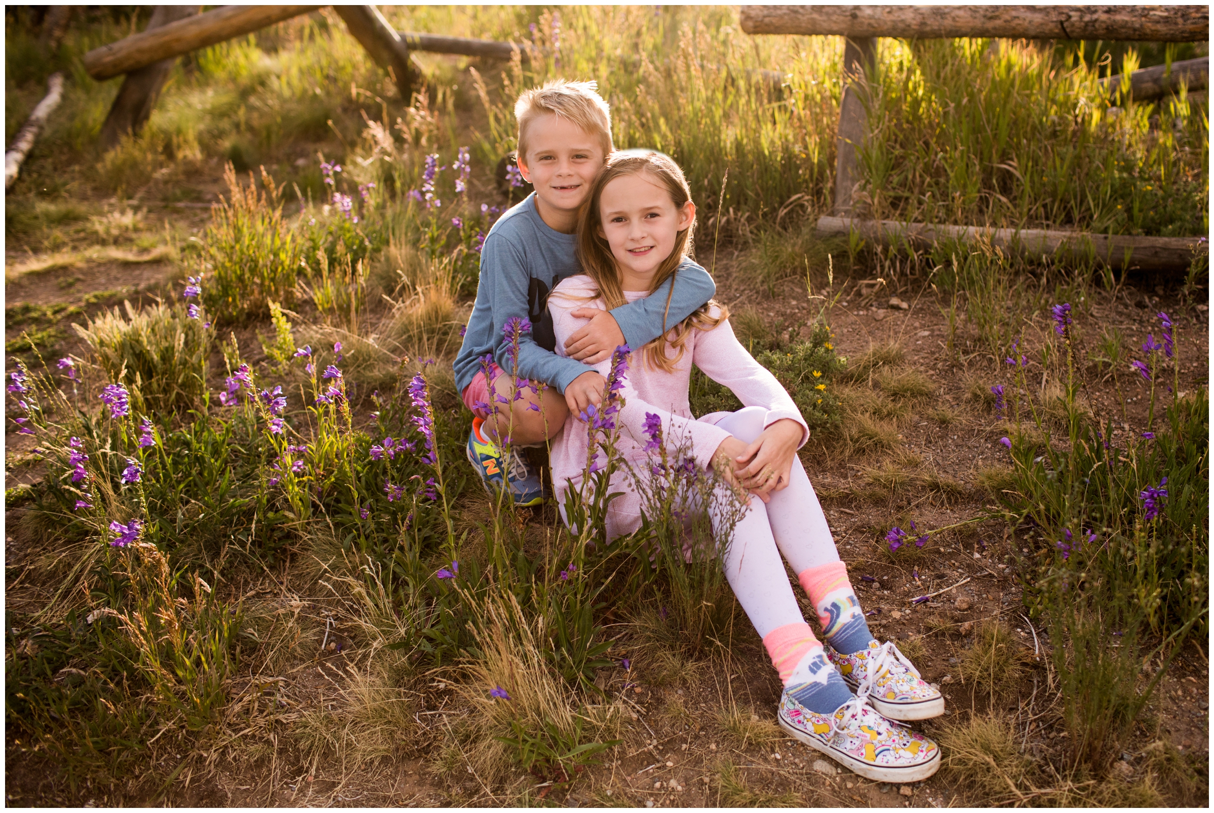 Siblings sitting in wild flowers during Colorado summer family portraits 