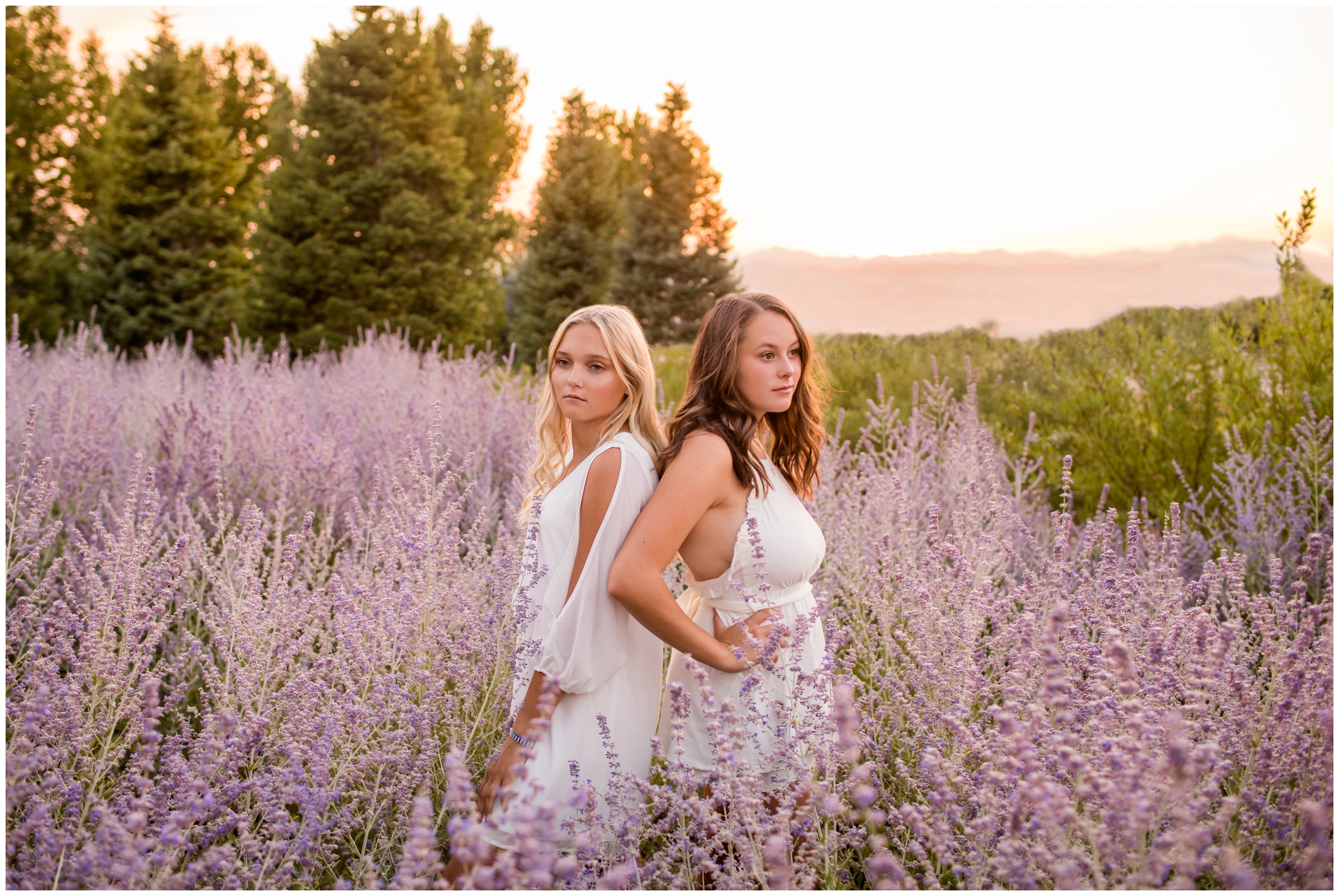 teen portraits in a lavender flower field in Erie Colorado 