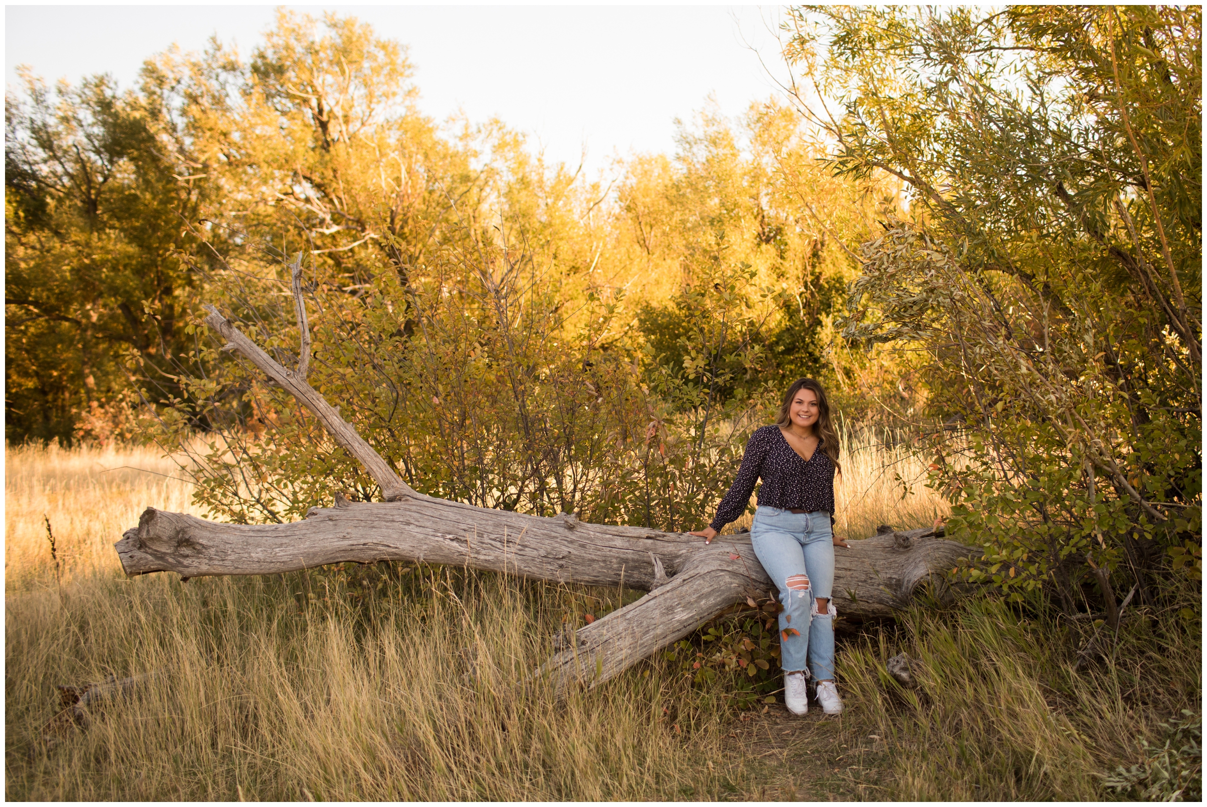 Teen sitting on large tree Colorado summer senior pictures 