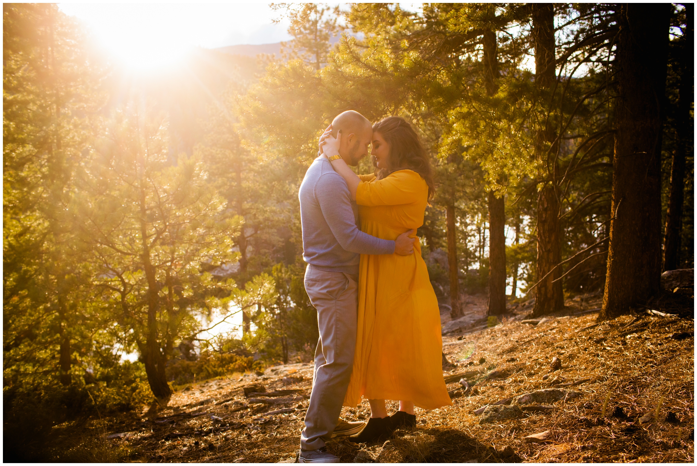sunny forest couple’s portraits in CO mountains 