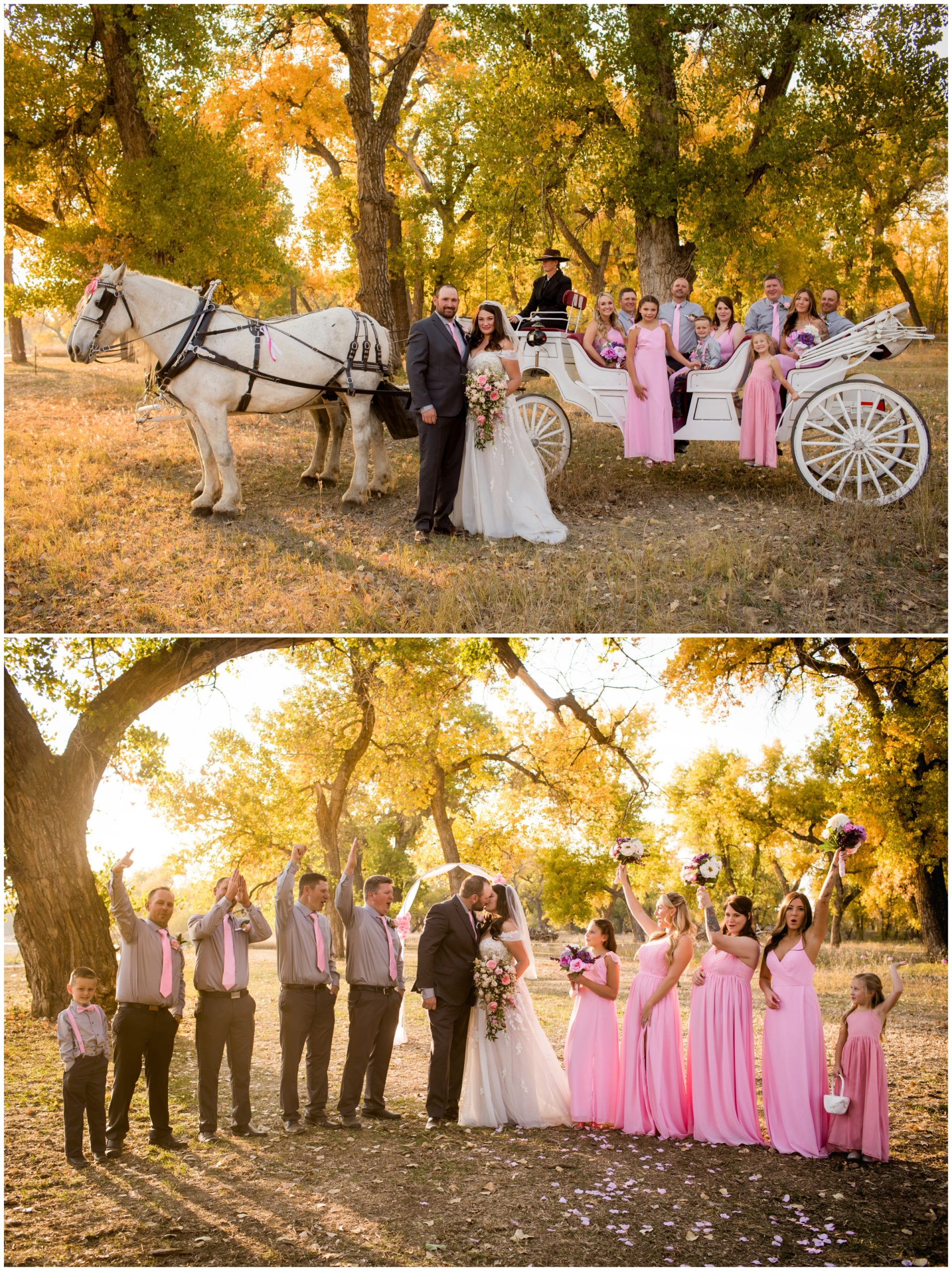 bridal party posing on horse drawn carriage during rustic Colorado farm wedding 