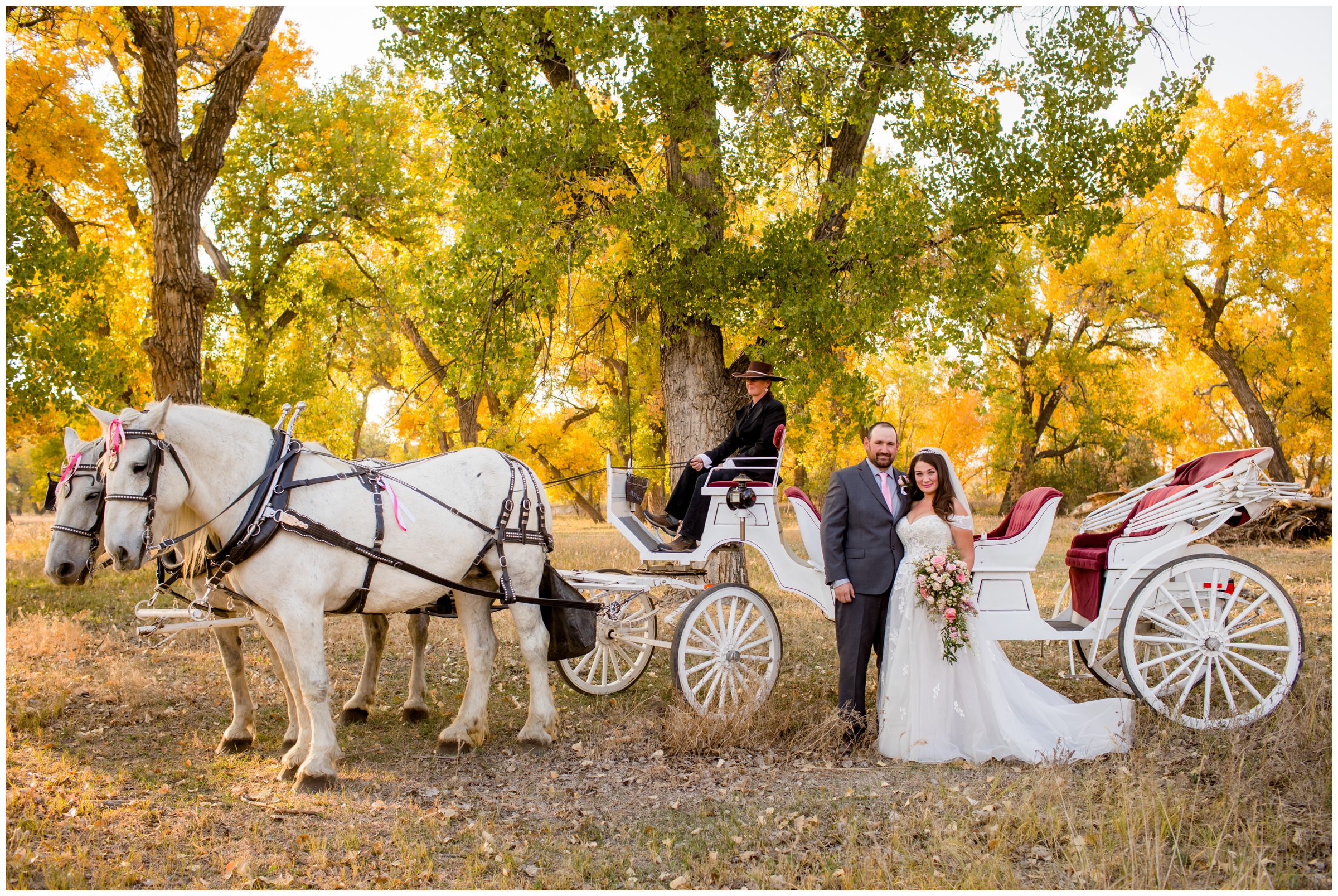 couple posing with horse drawn carriage during rustic Colorado wedding photos