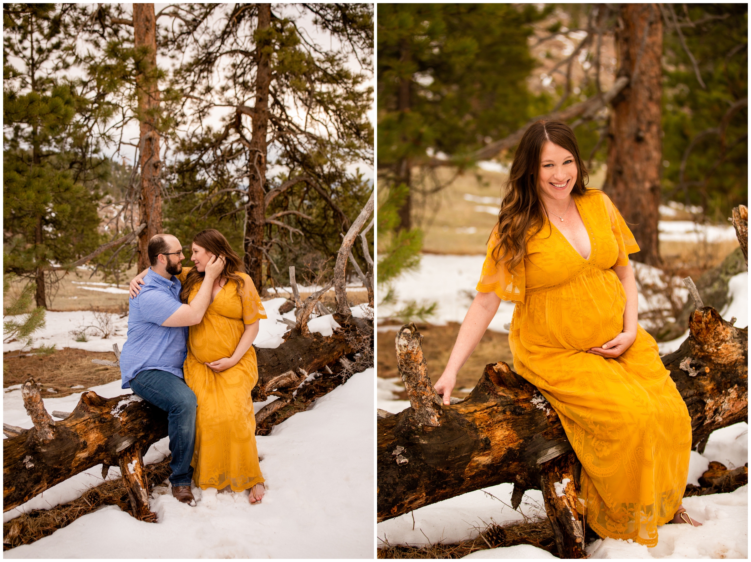 winter pregnancy photos in a CO forest setting 