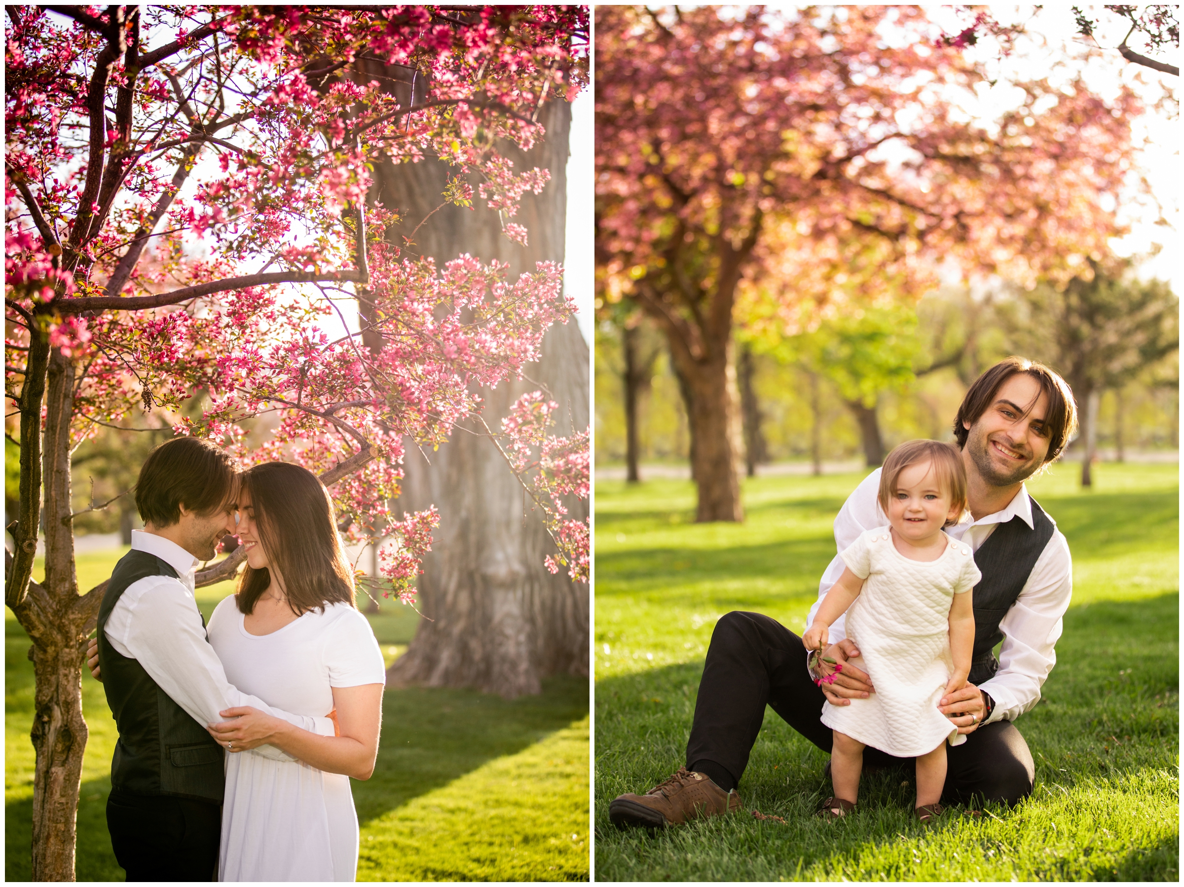 couple embracing with cherry blossom trees in background during spring engagement portraits in Longmont Colorado 