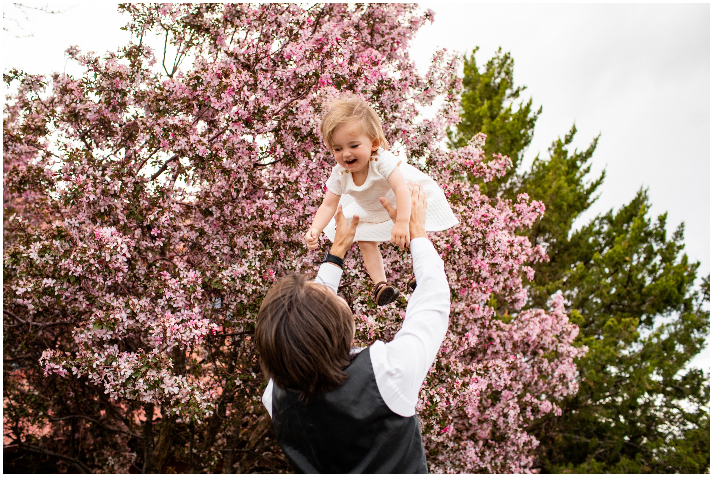 dad lifting daughter into the air with spring flowering trees in background during candid Longmont Colorado family photos 