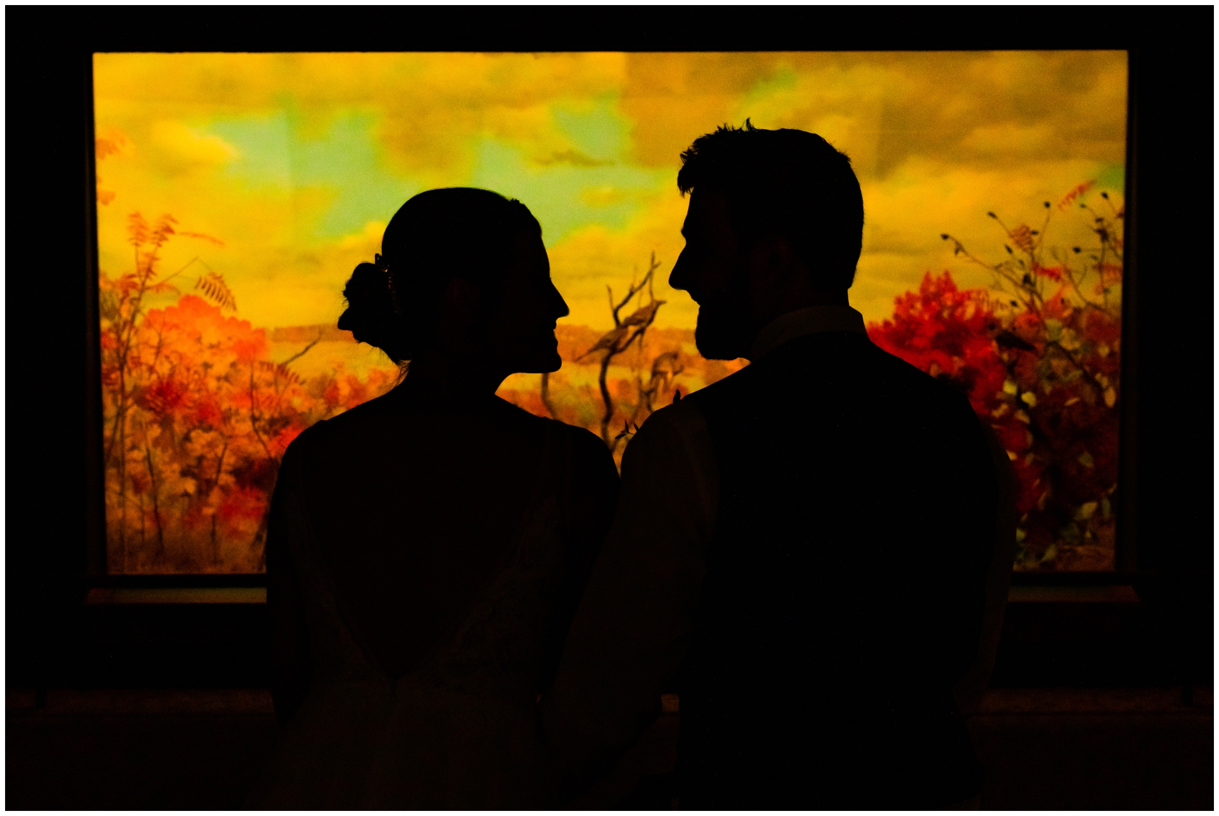 unique silhouette wedding portraits at Denver Museum of Nature and Science by Colorado photographer Plum Pretty Photo