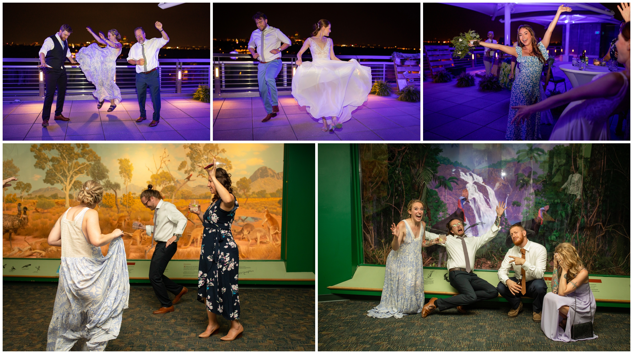 wedding guests dancing in front of the exhibits dioramas during Denver Colorado night at the museum wedding reception 