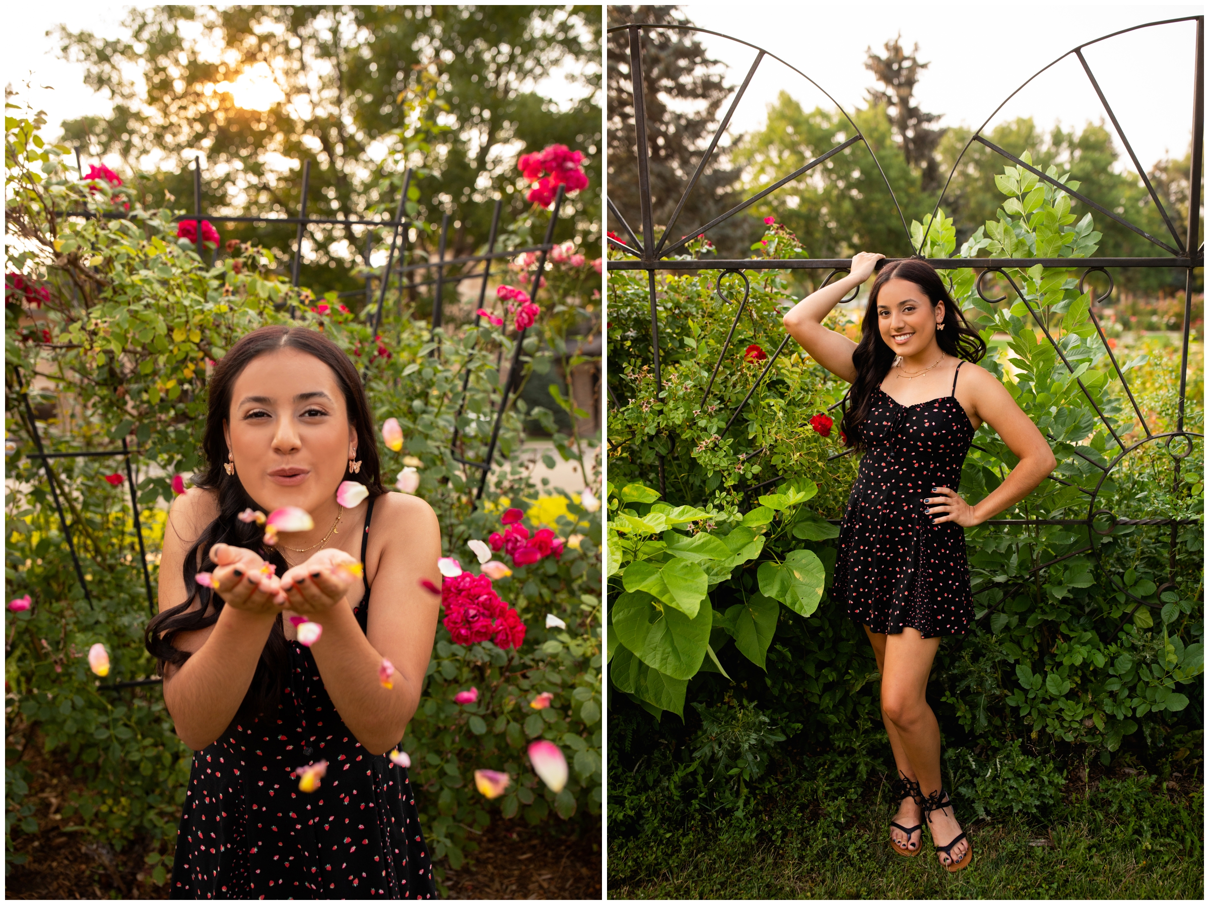 teen blowing rose petals at camera during Longmont Colorado graduation portraits 
