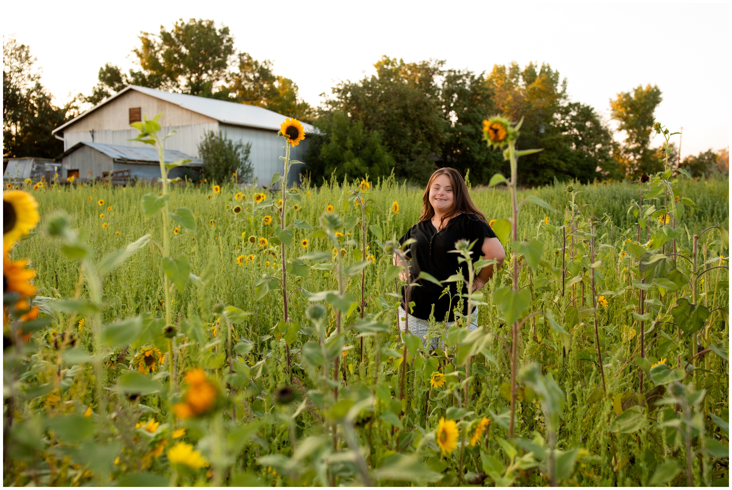 Teen posing on sunflower field during Longmont Colorado senior pictures 