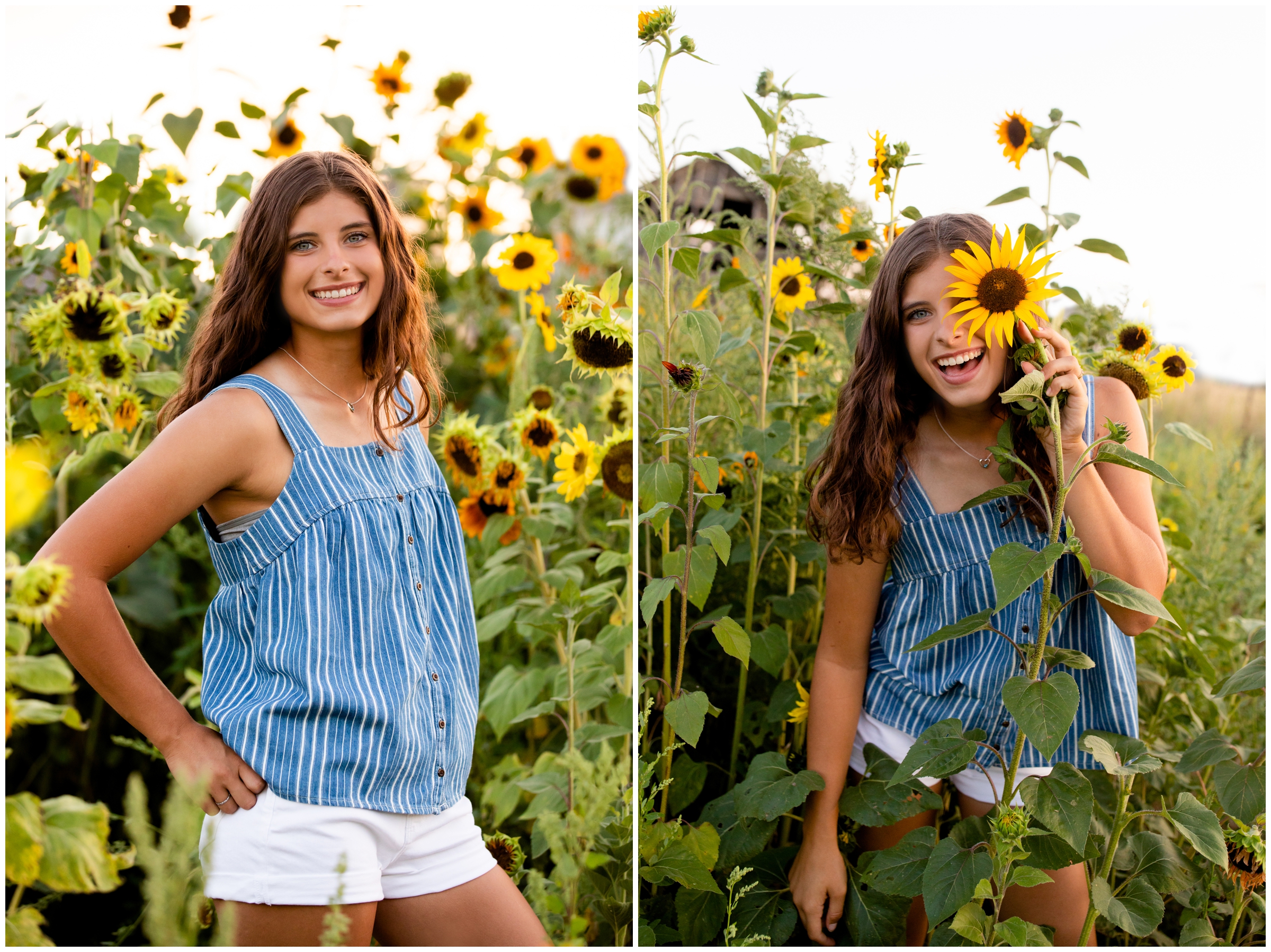 Silver Creek High School senior session in Longmont Colorado at Golden Ponds and Bee Hugger Farm by Plum Pretty Photography